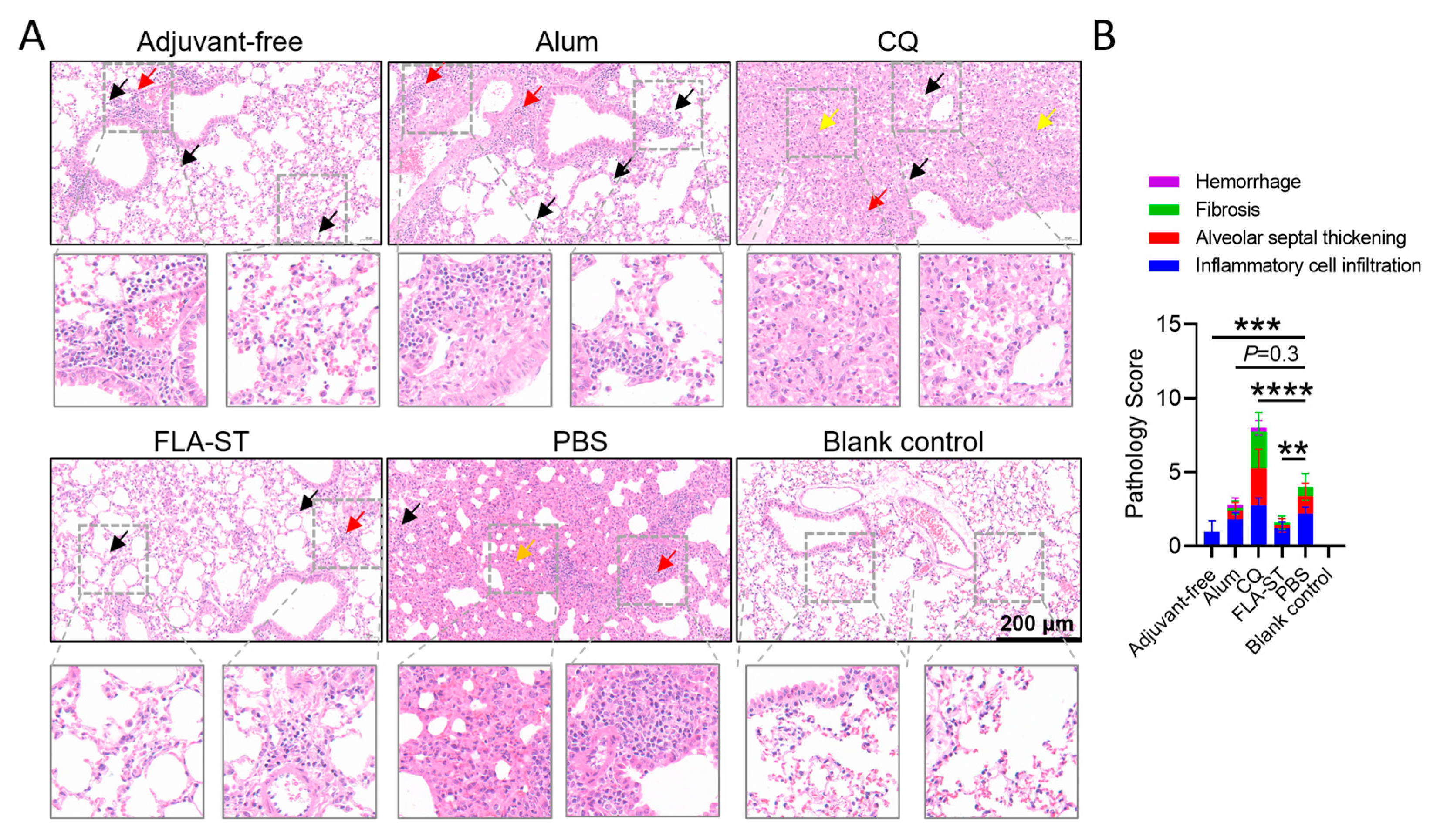 Vaccines 13 00968 g003
