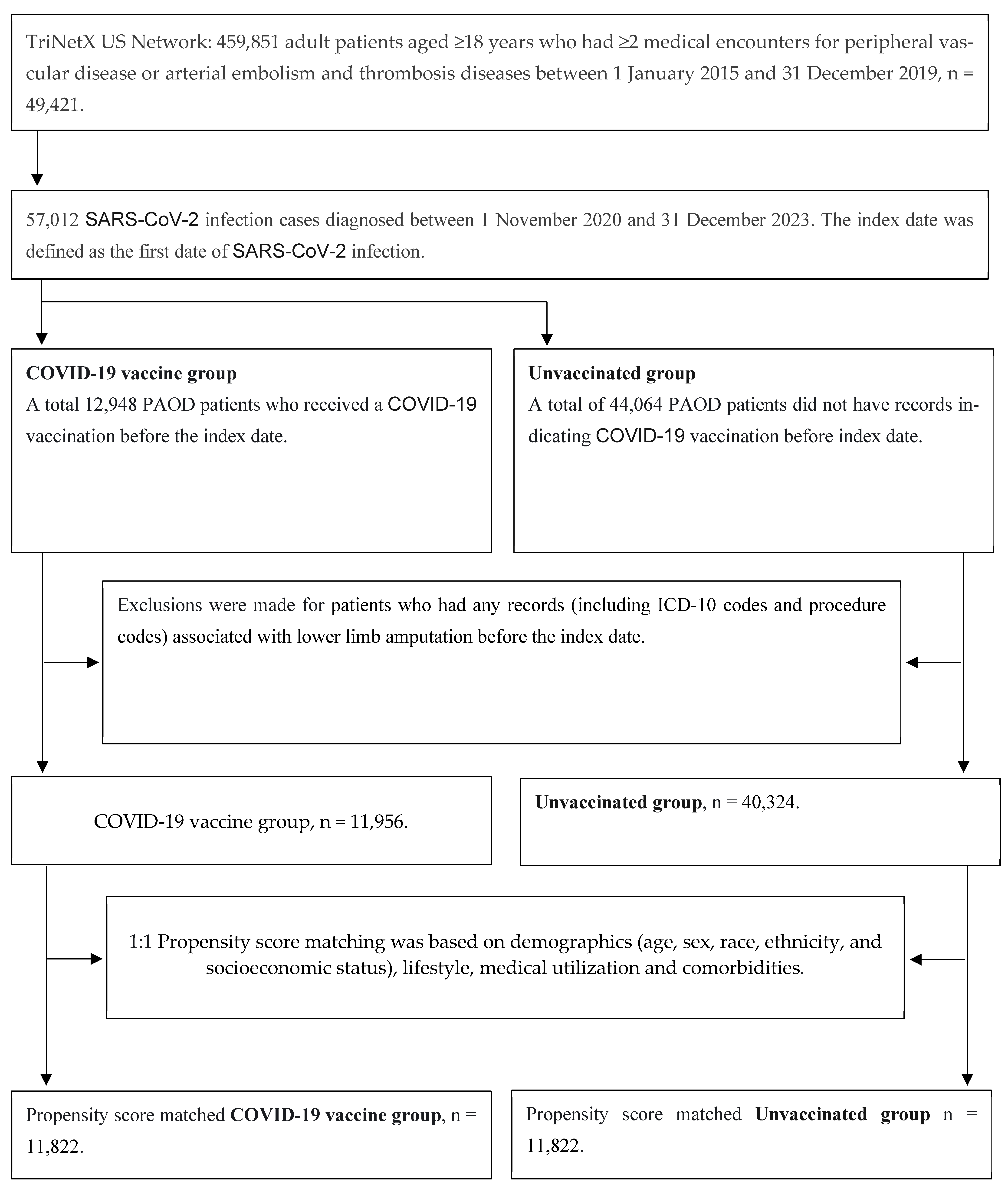 Vaccines 13 00969 g001