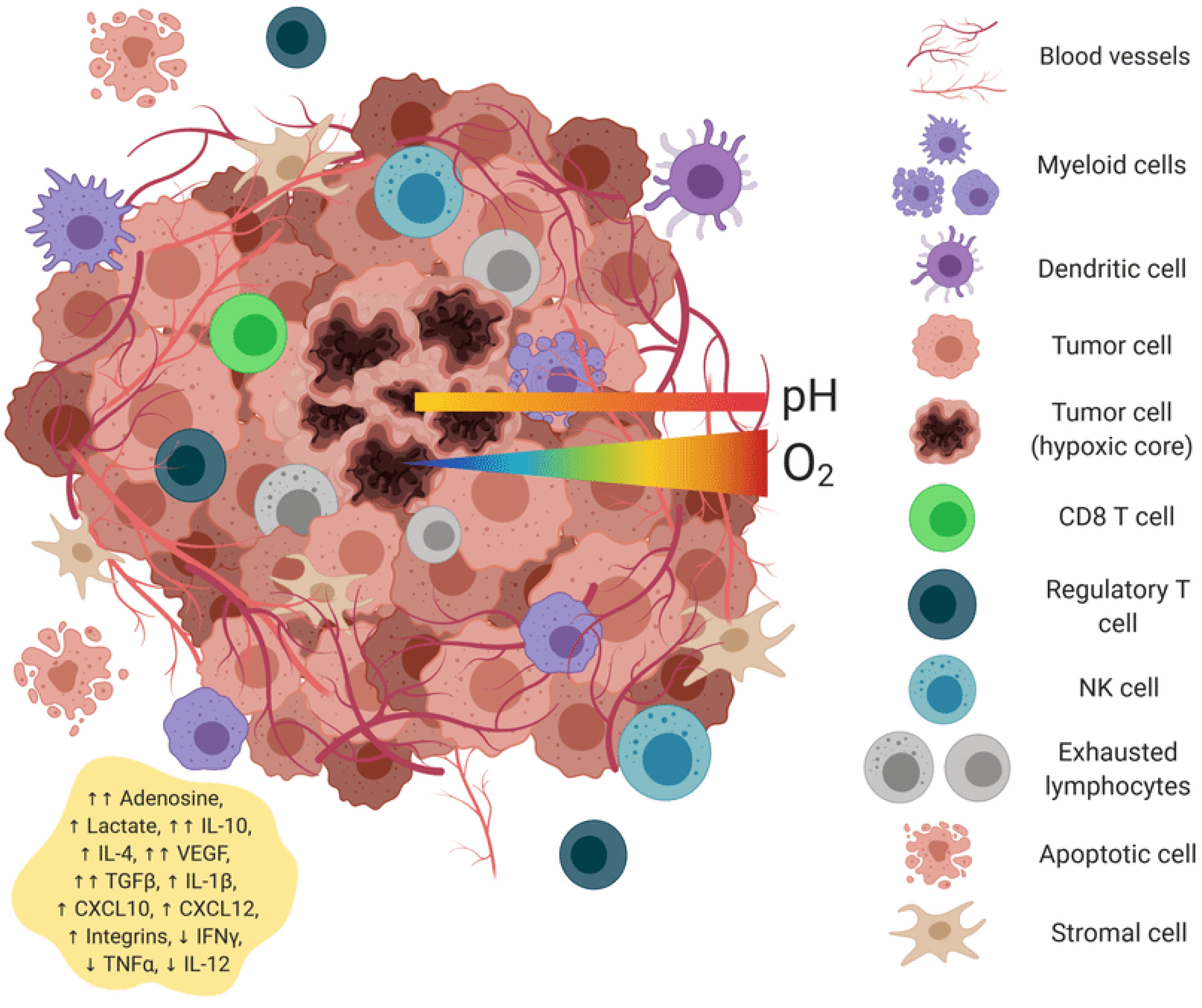 Vaccines 13 00970 g001 Vaccines 13 00970 g001