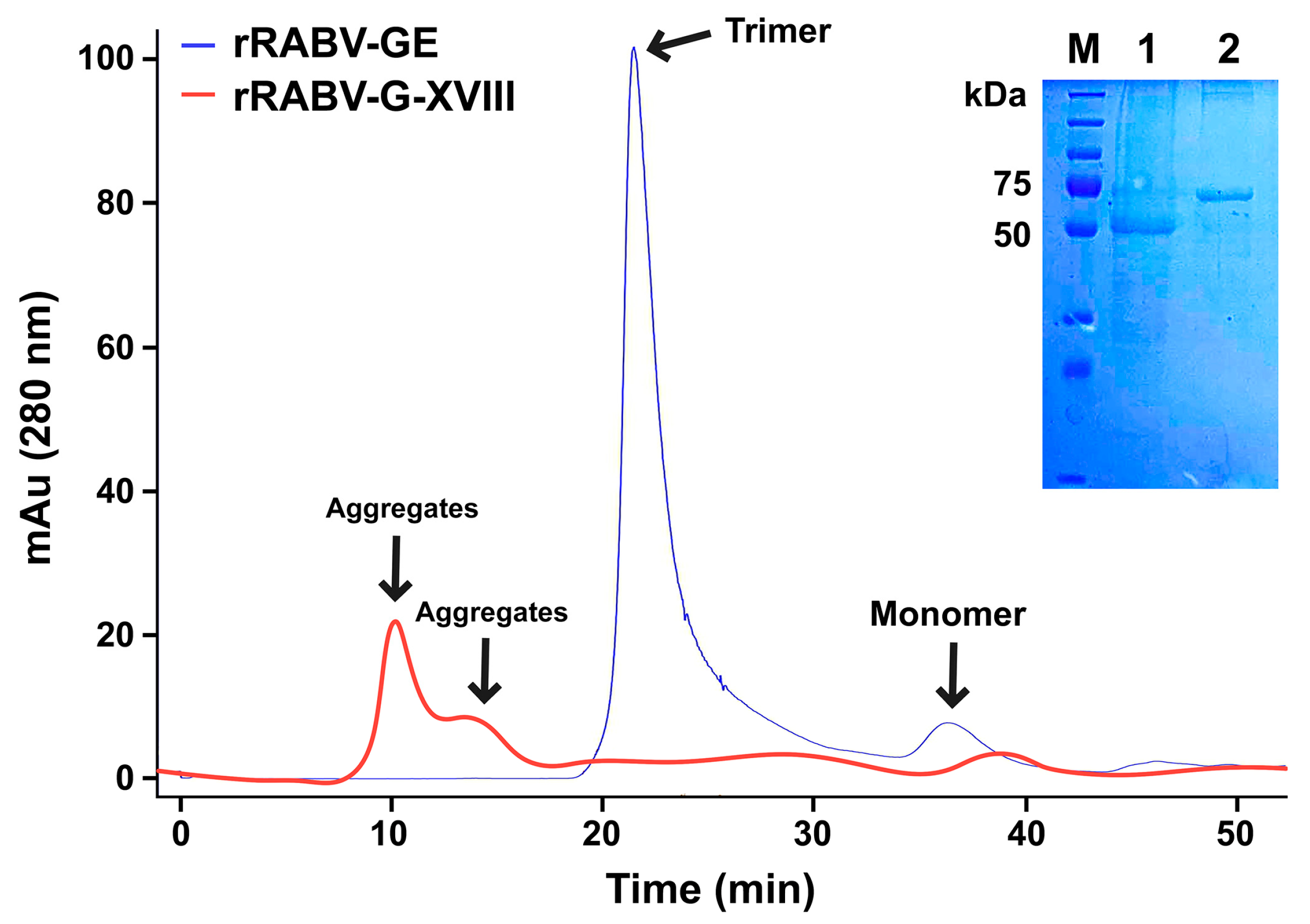 Vaccines 13 00971 g002