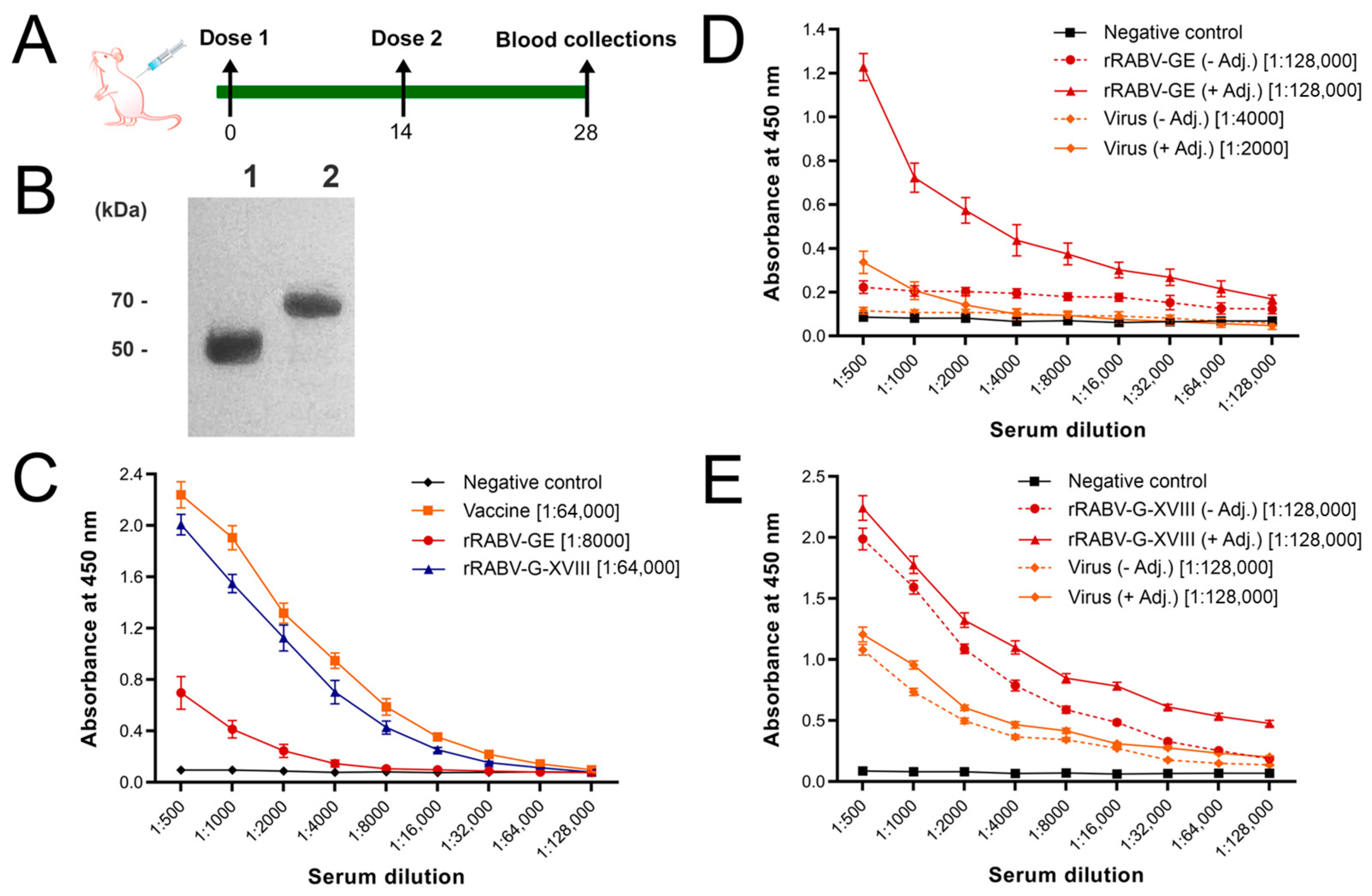 Vaccines 13 00971 g003