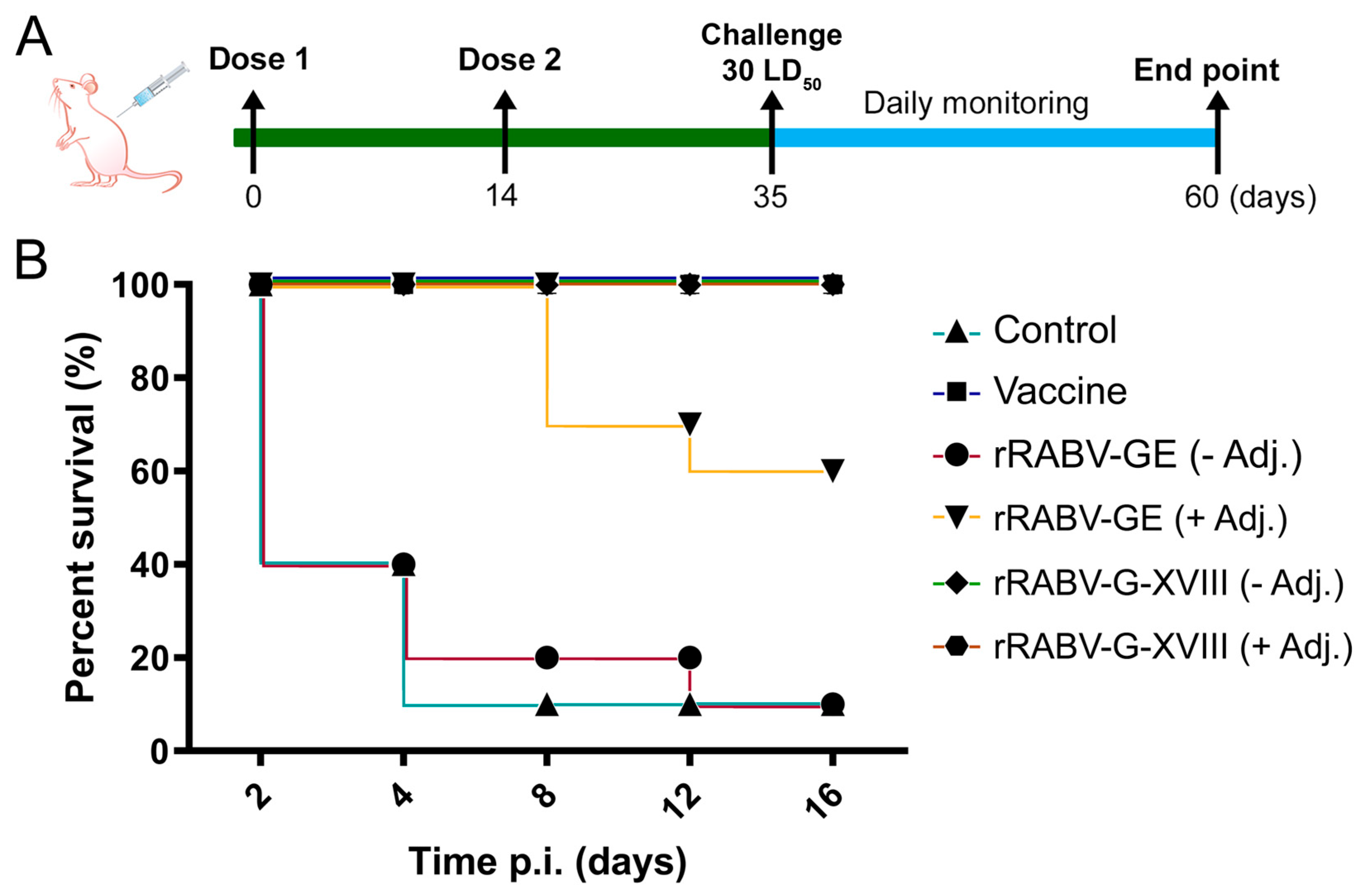 Vaccines 13 00971 g005