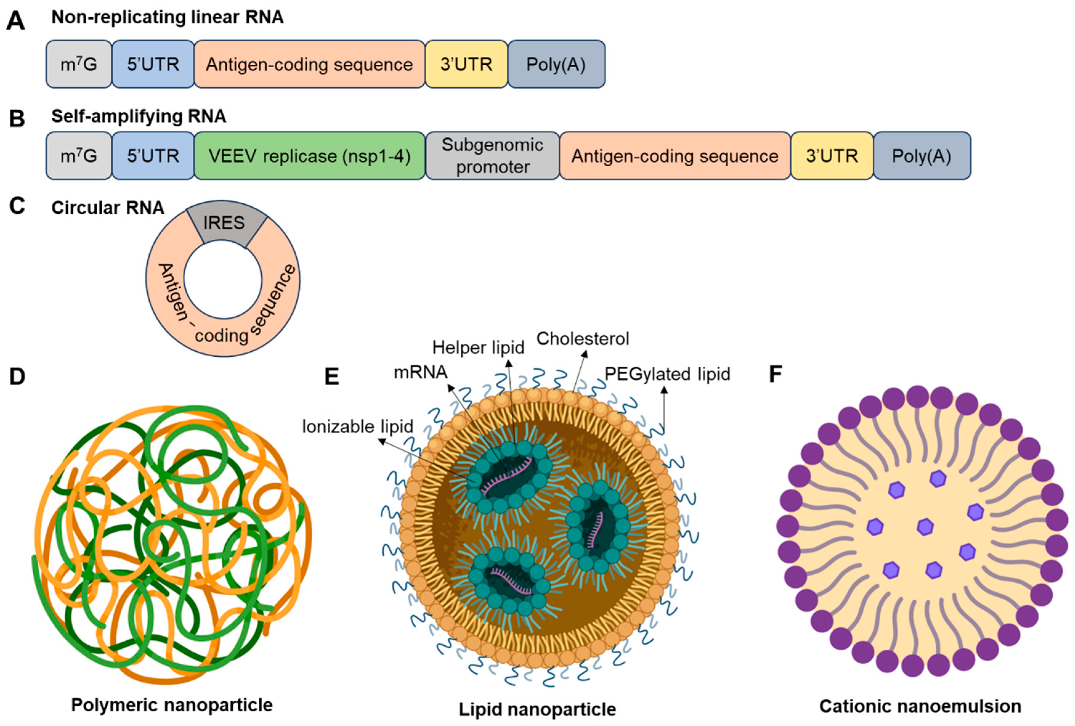 Vaccines 13 00979 g001