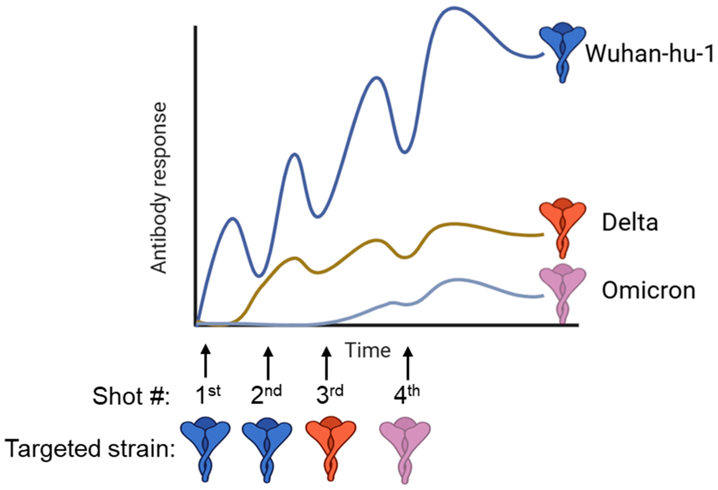Vaccines 13 00979 g002