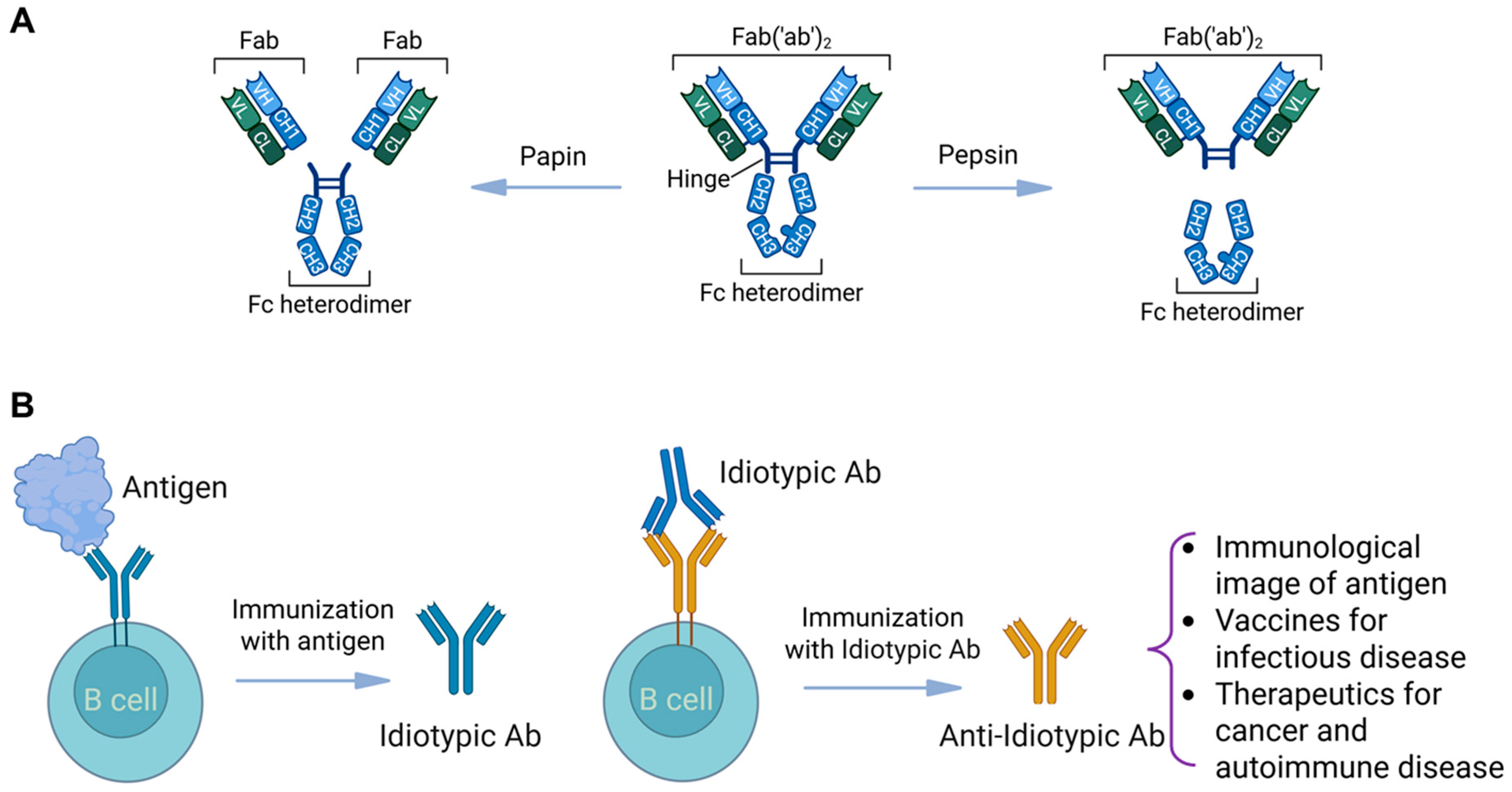 Vaccines 13 00979 g003