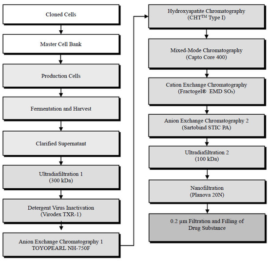 Vaccines 13 00980 g001