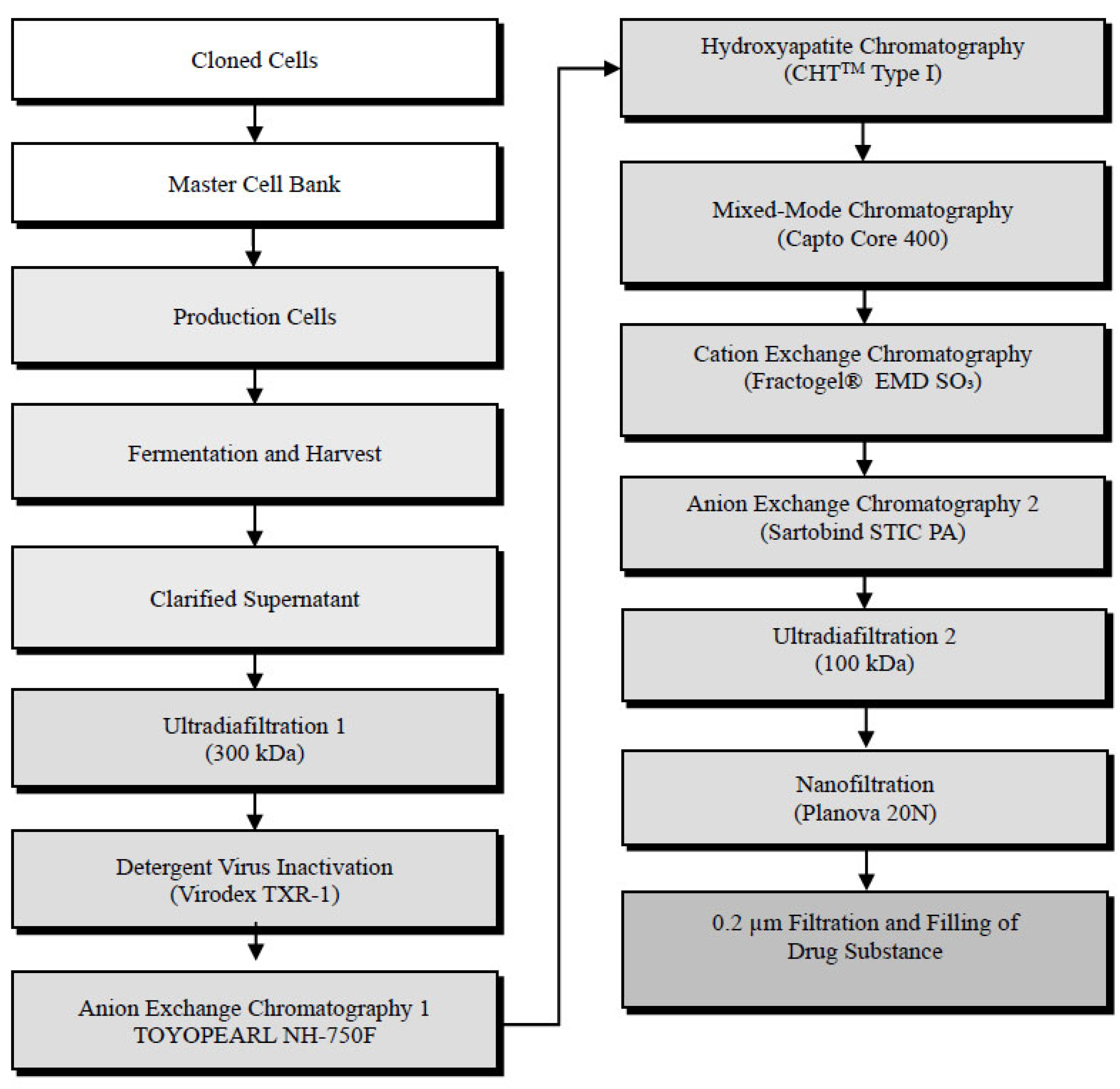 Vaccines 13 00980 g001 Vaccines 13 00980 g001
