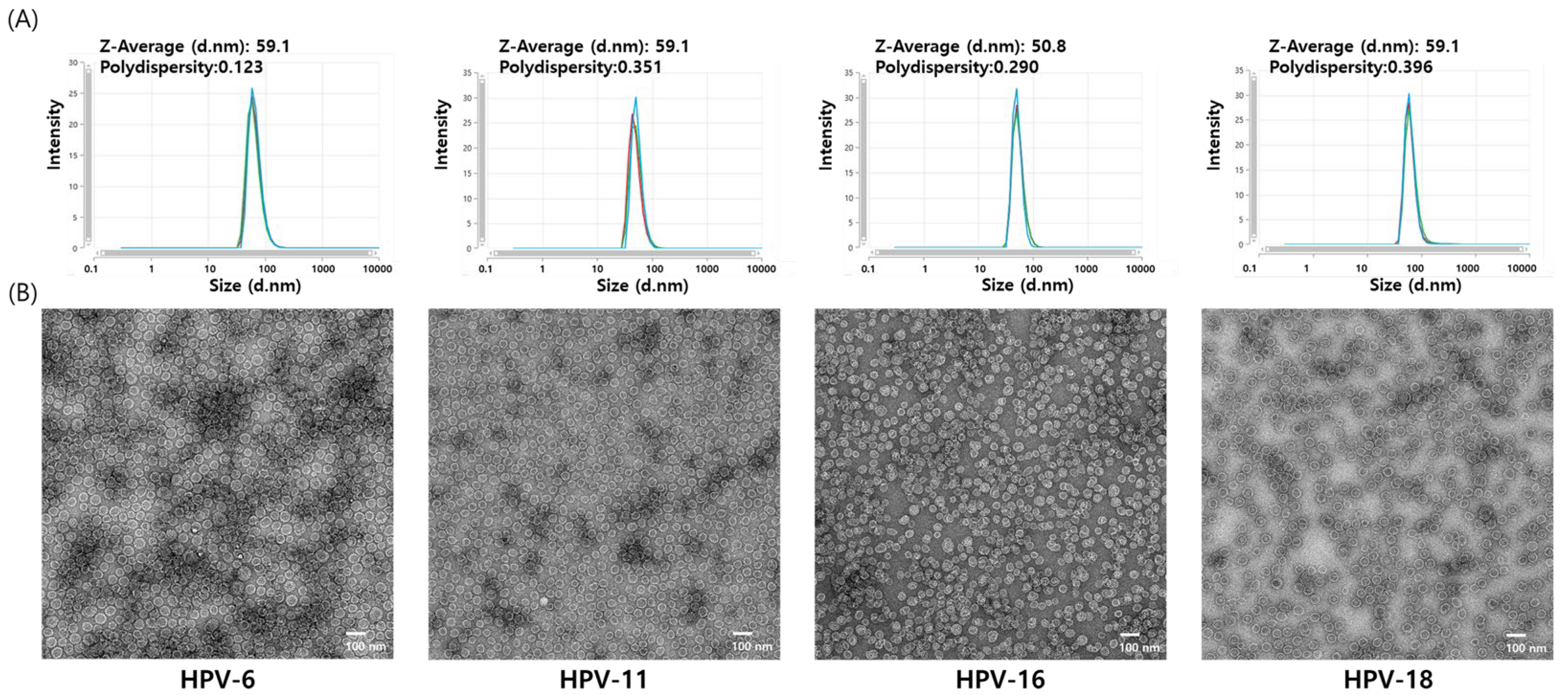 Vaccines 13 01006 g005