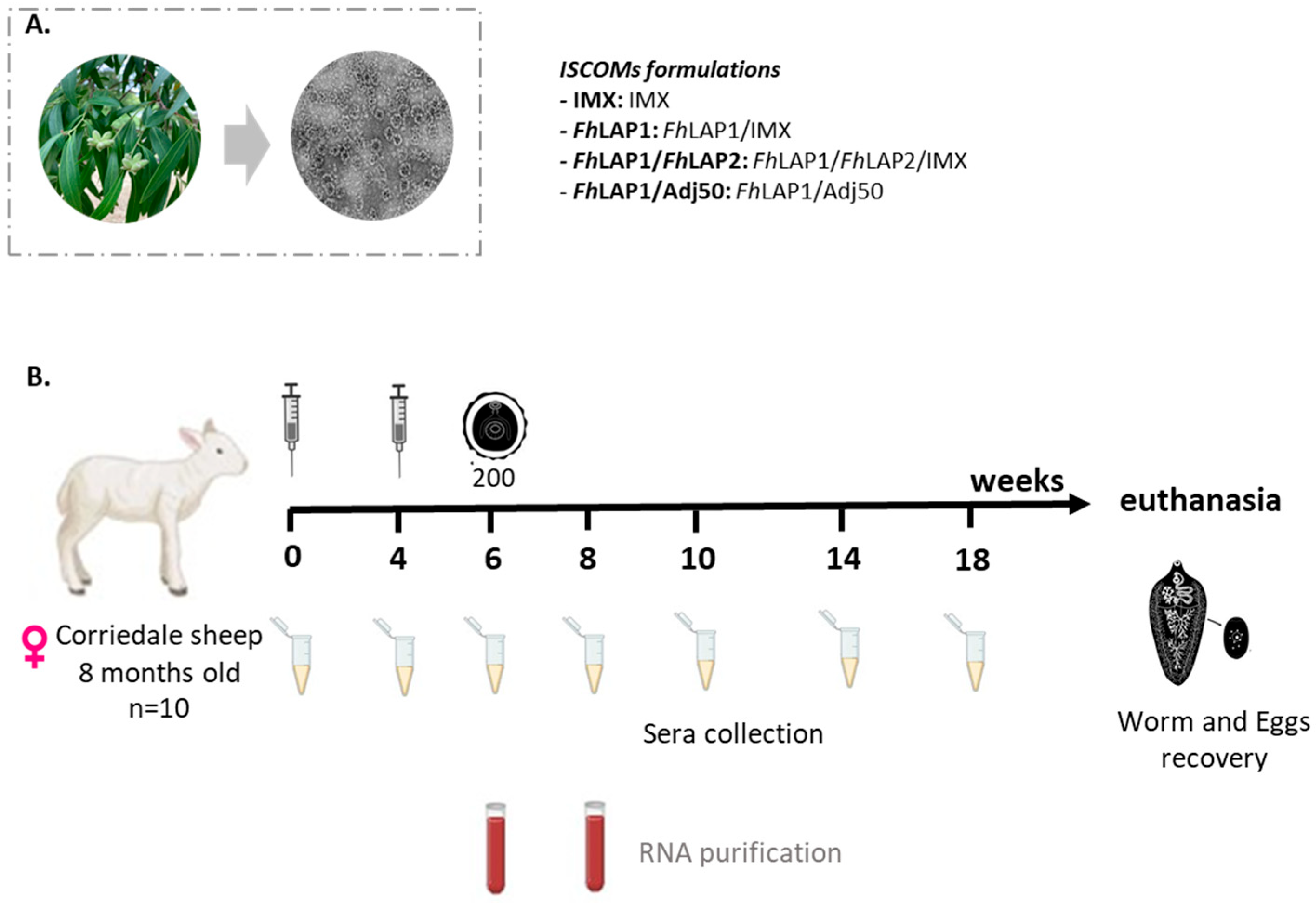 Vaccines 13 01008 g001