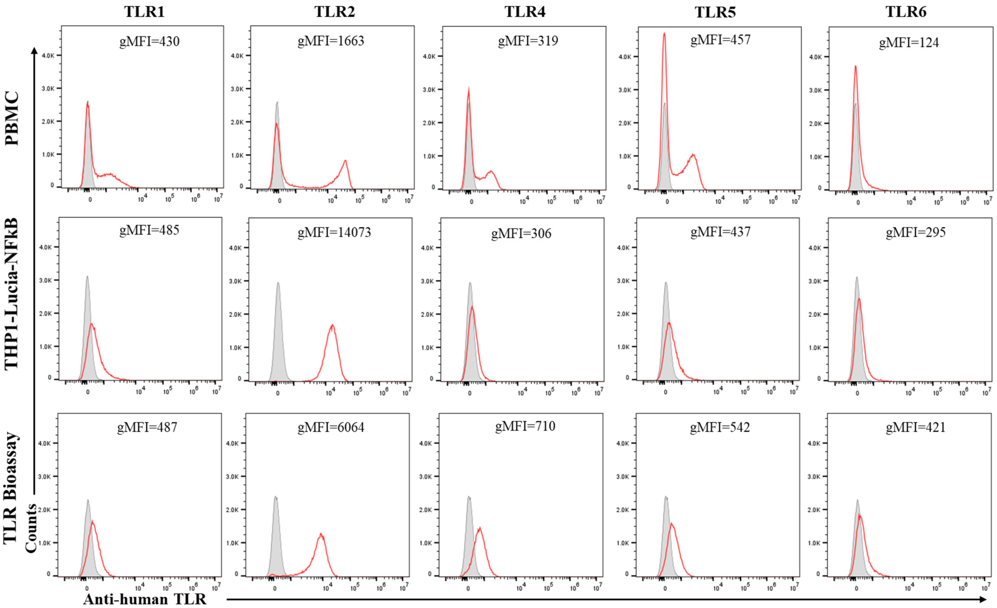 Vaccines 13 01009 g002