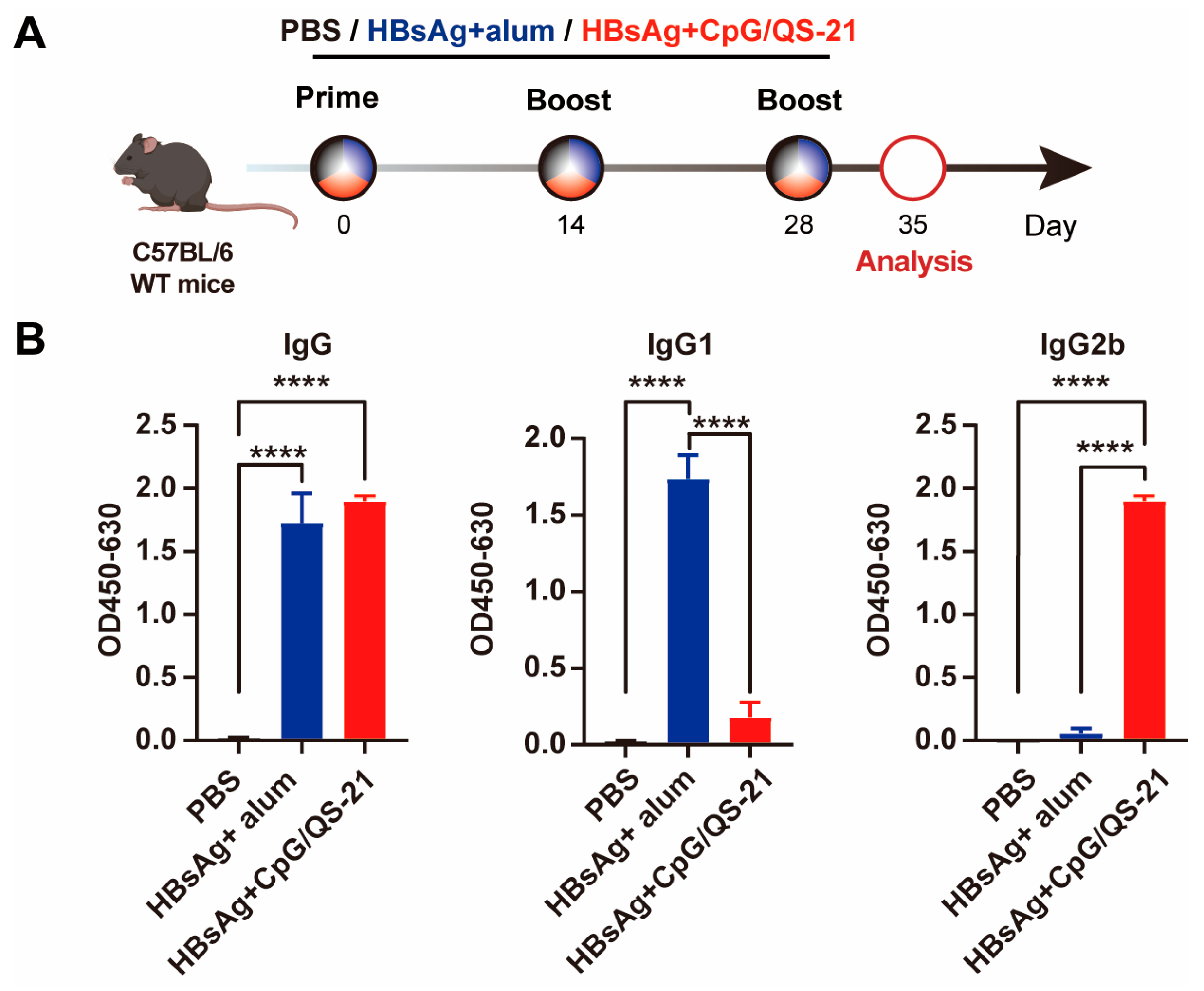 Vaccines 13 01014 g001