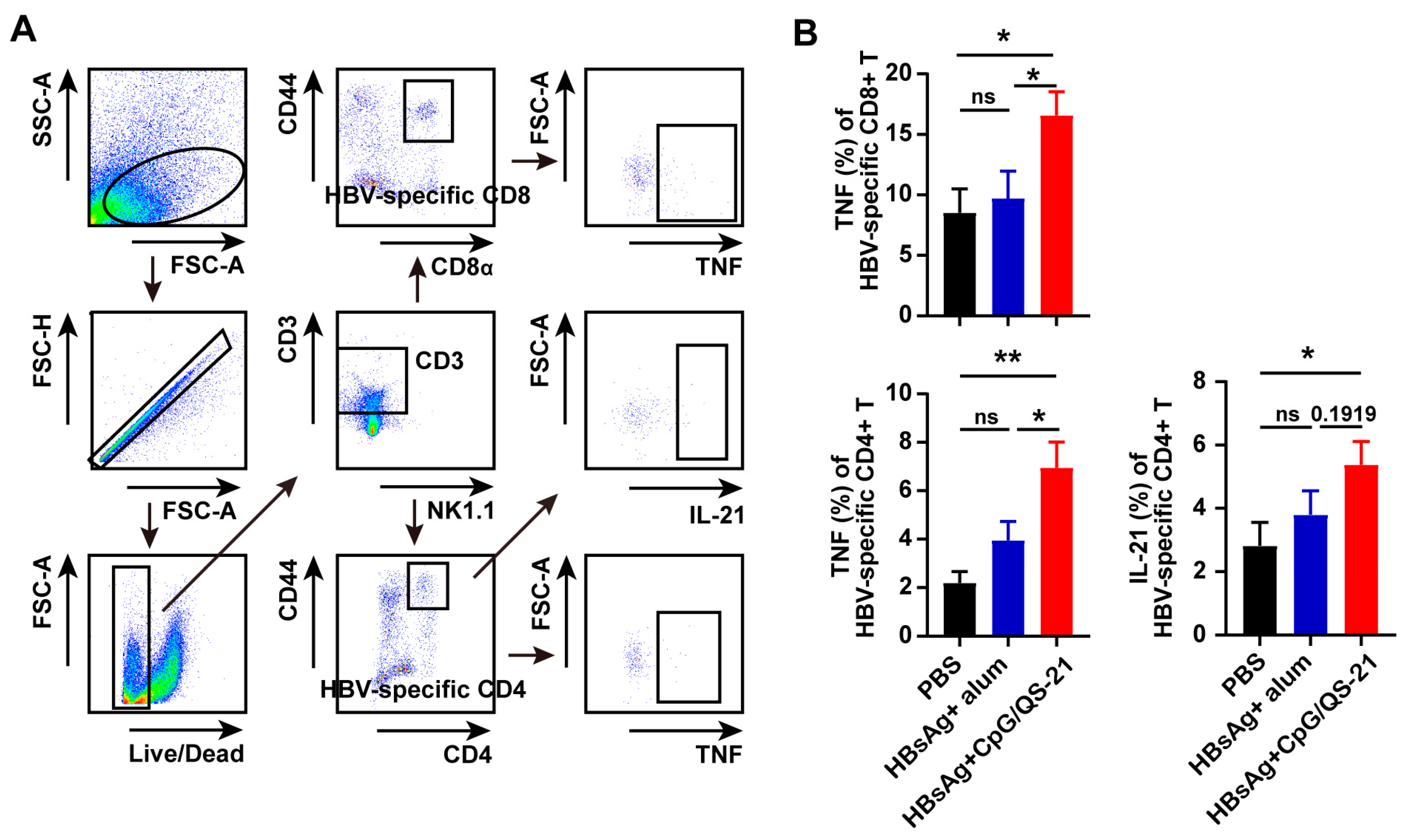 Vaccines 13 01014 g005