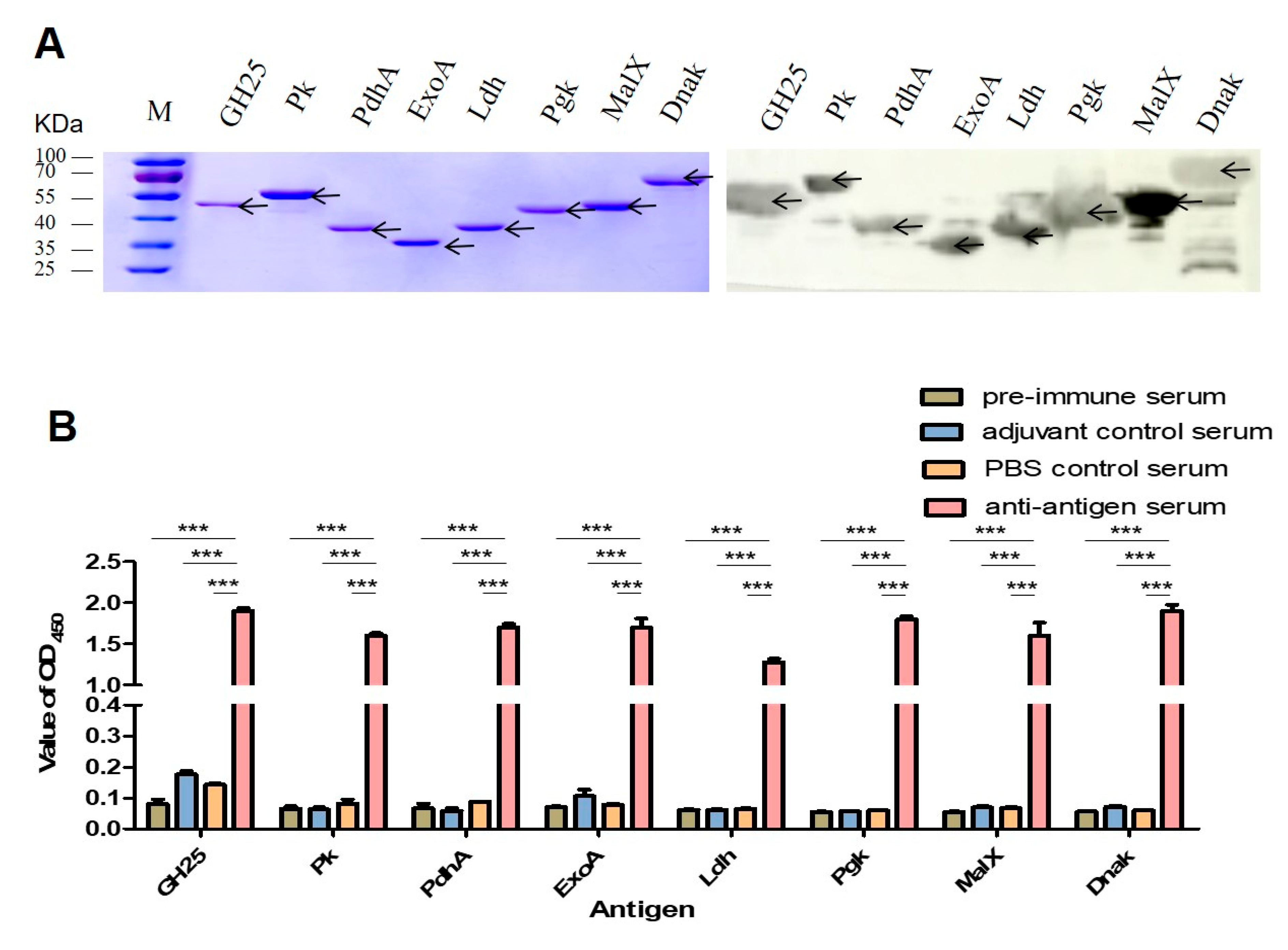 Vaccines 13 01020 g003 Vaccines 13 01020 g003