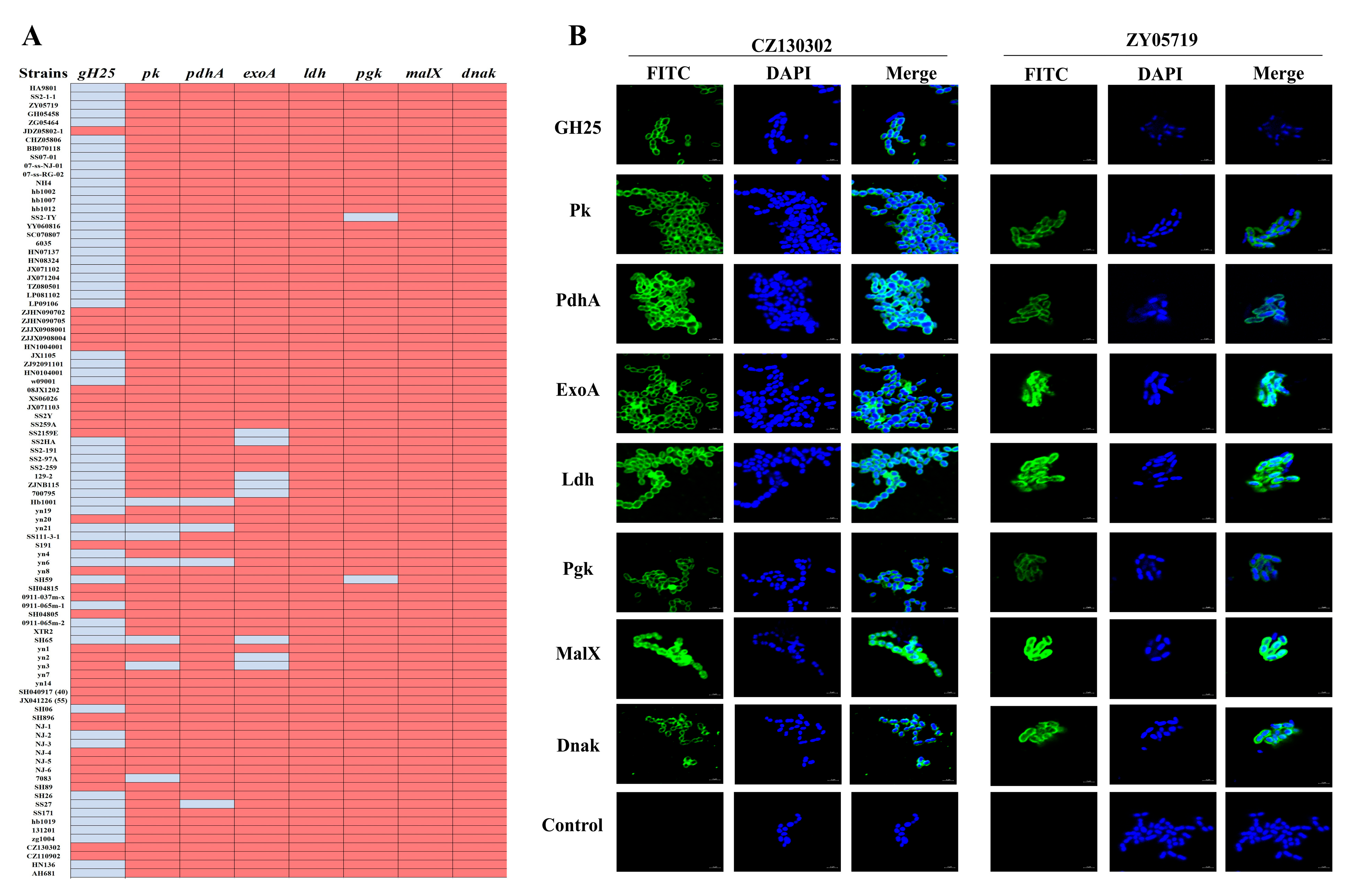 Vaccines 13 01020 g005 Vaccines 13 01020 g005