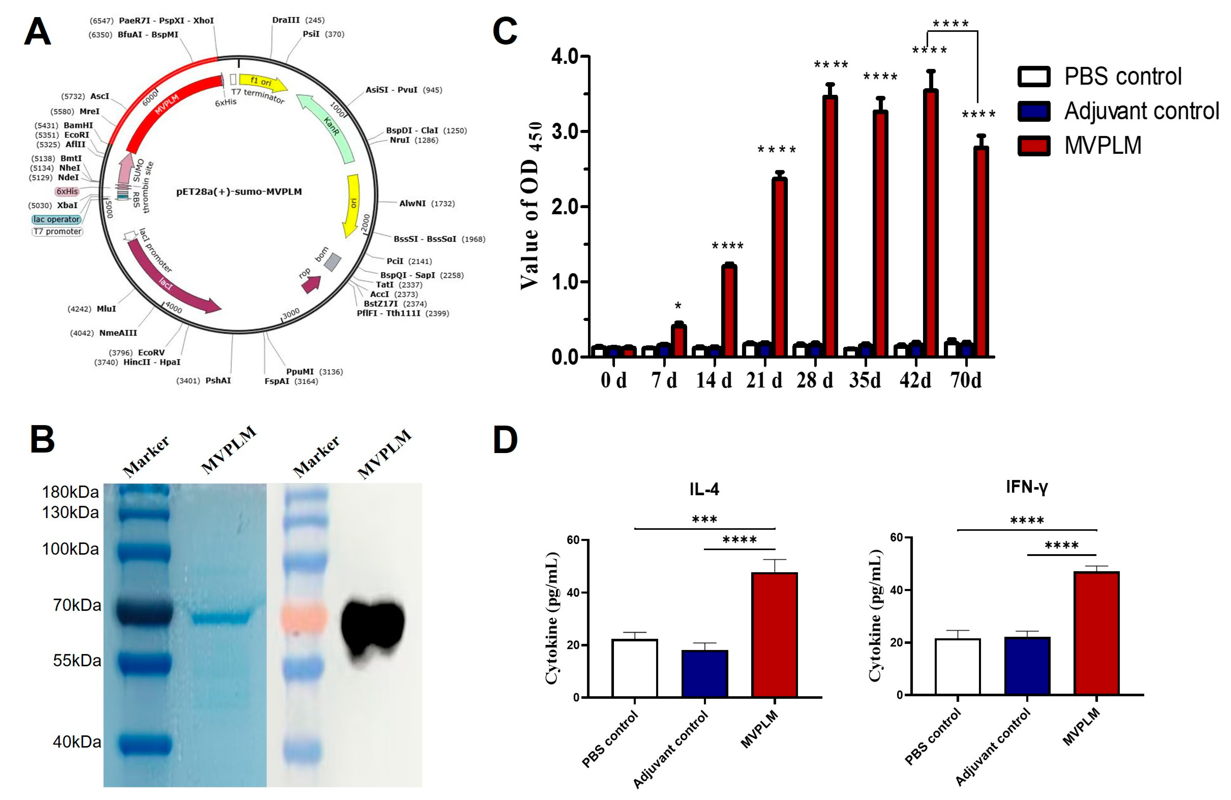 Vaccines 13 01020 g008 Vaccines 13 01020 g008