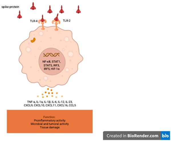 Vaccines 13 01028 i002