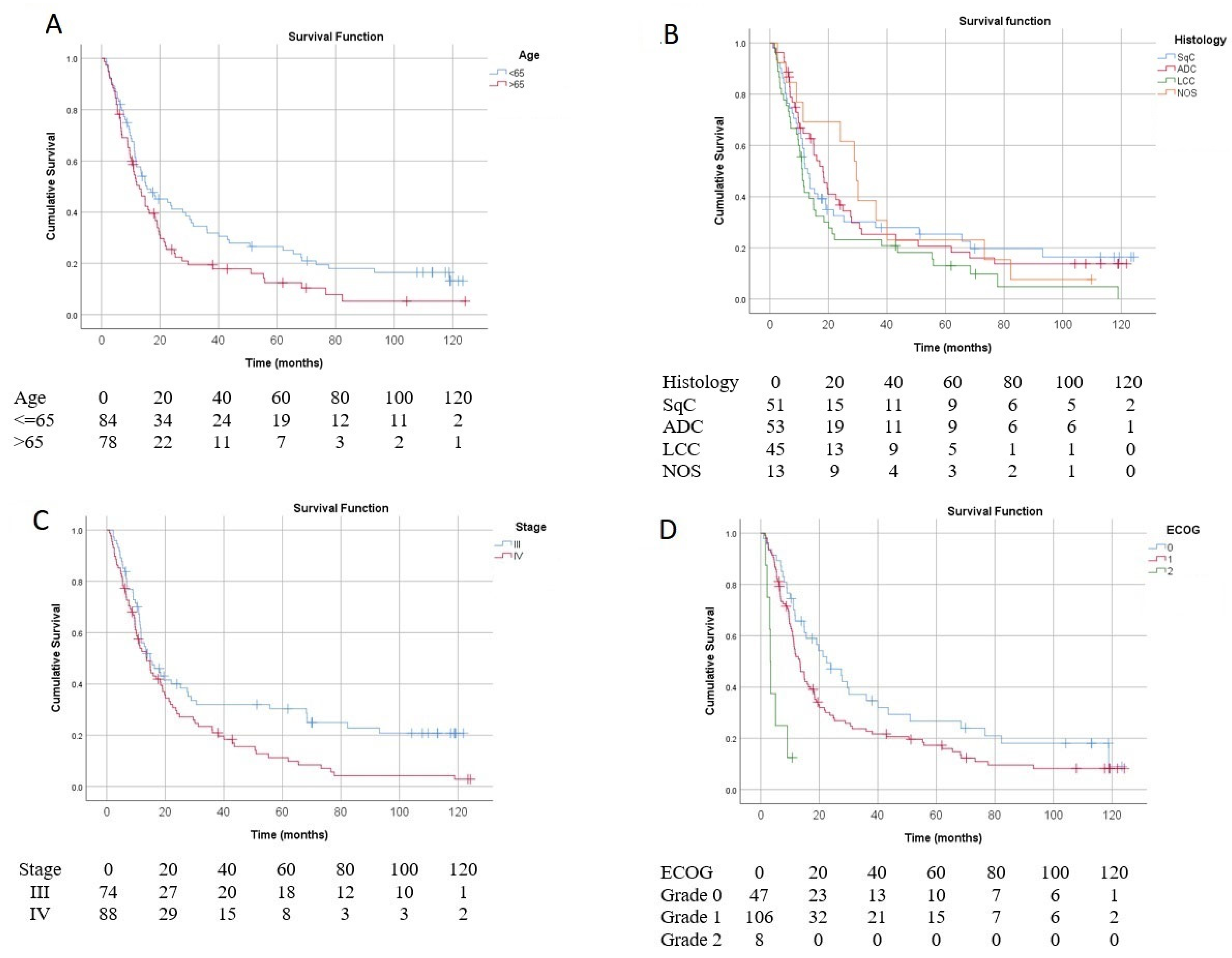 Vaccines 13 01035 g002