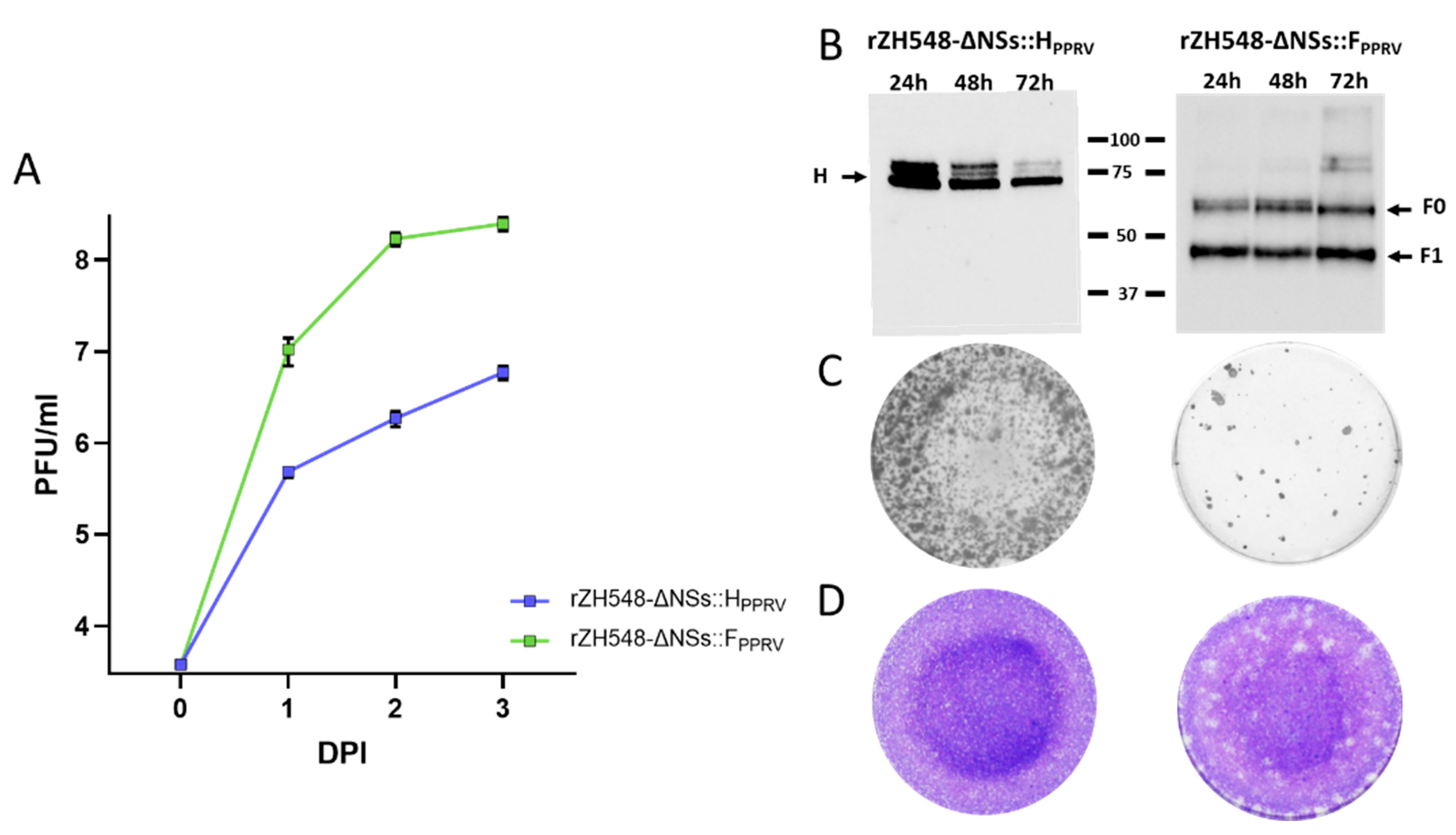 Vaccines 13 01039 g002