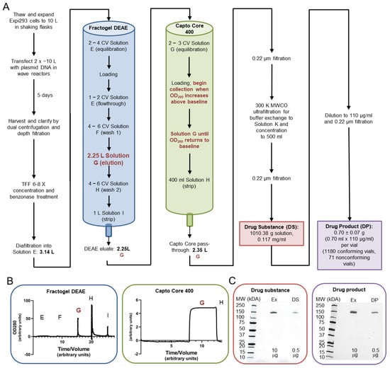 Vaccines 13 01041 g002