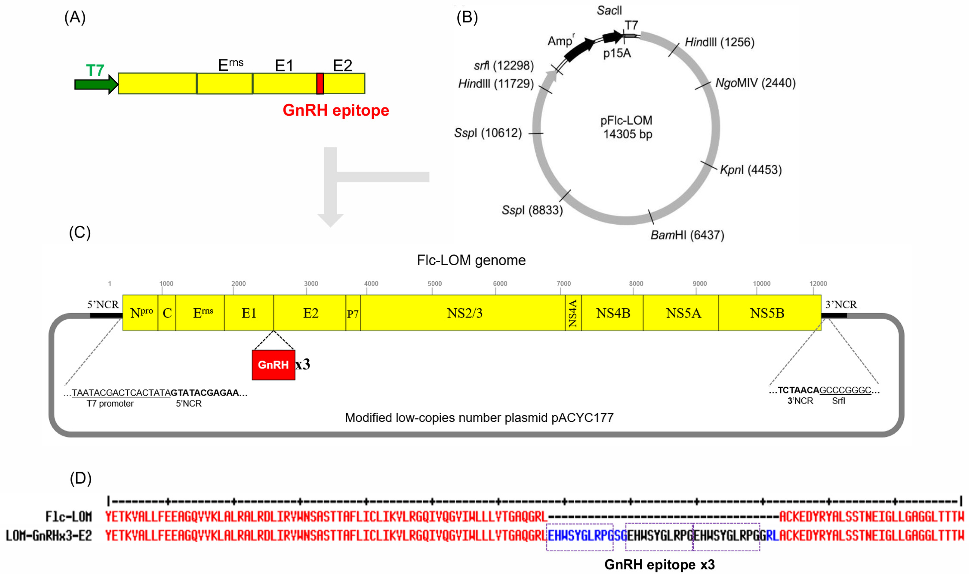 Vaccines 13 01048 g001