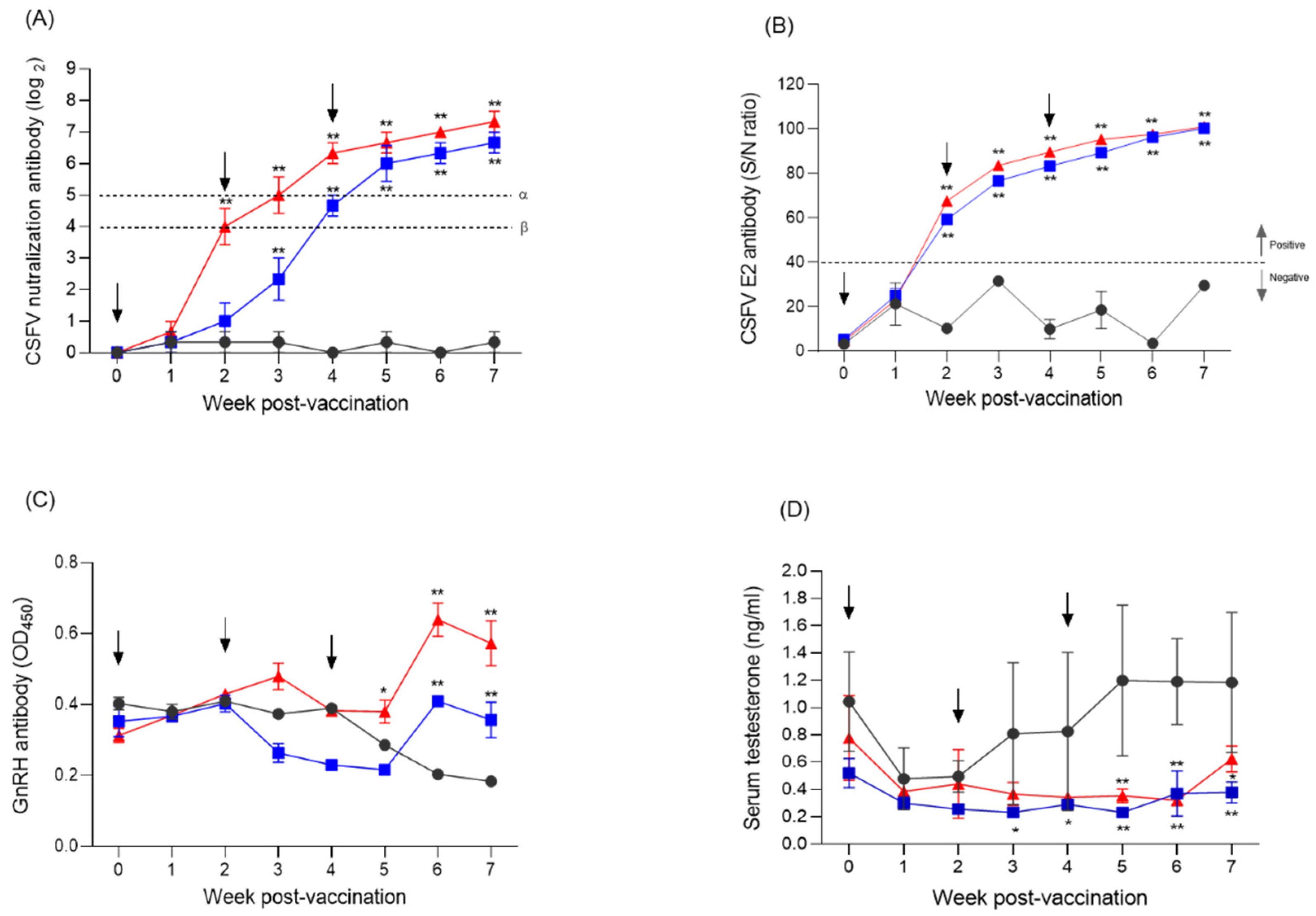 Vaccines 13 01048 g004