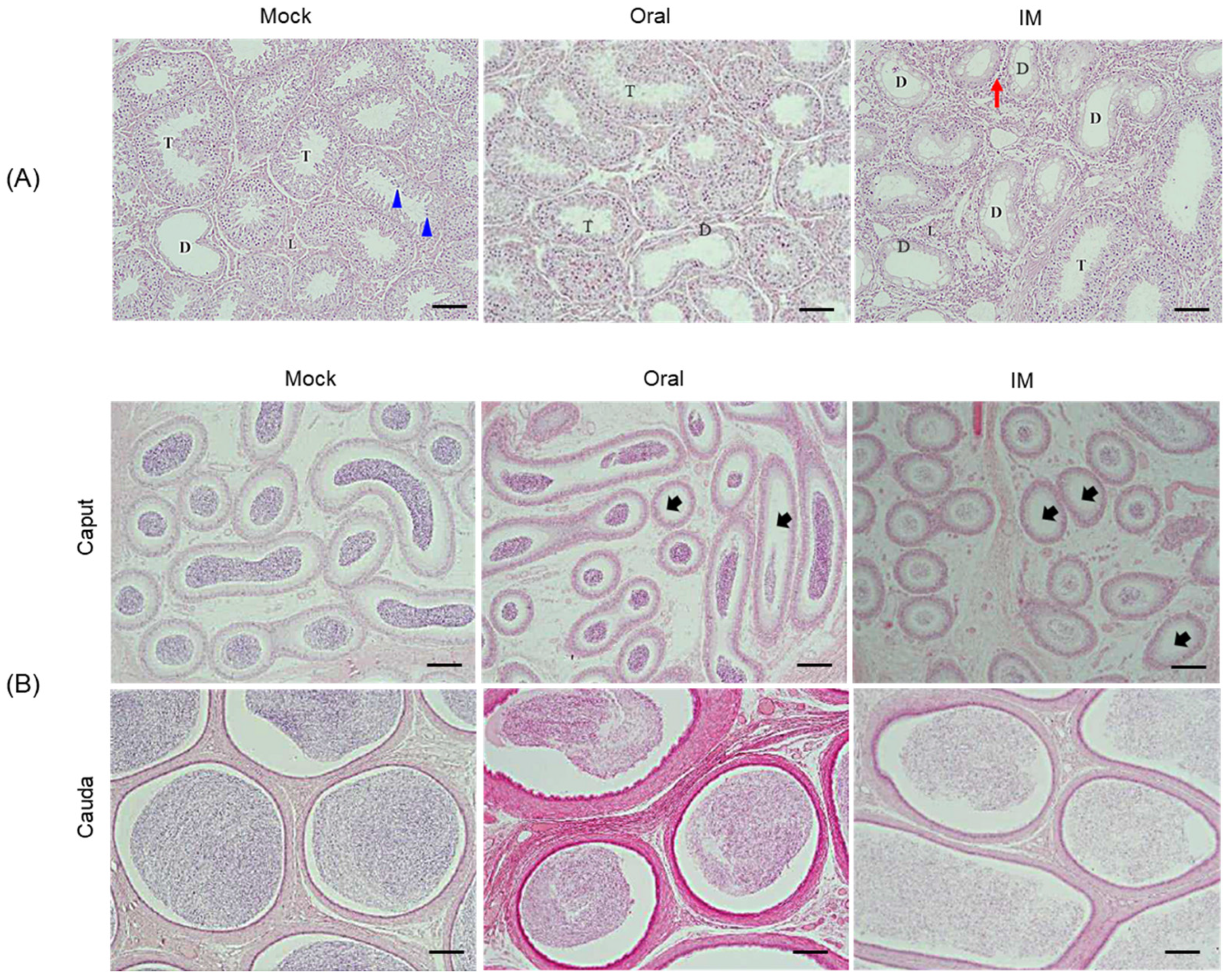 Vaccines 13 01048 g006