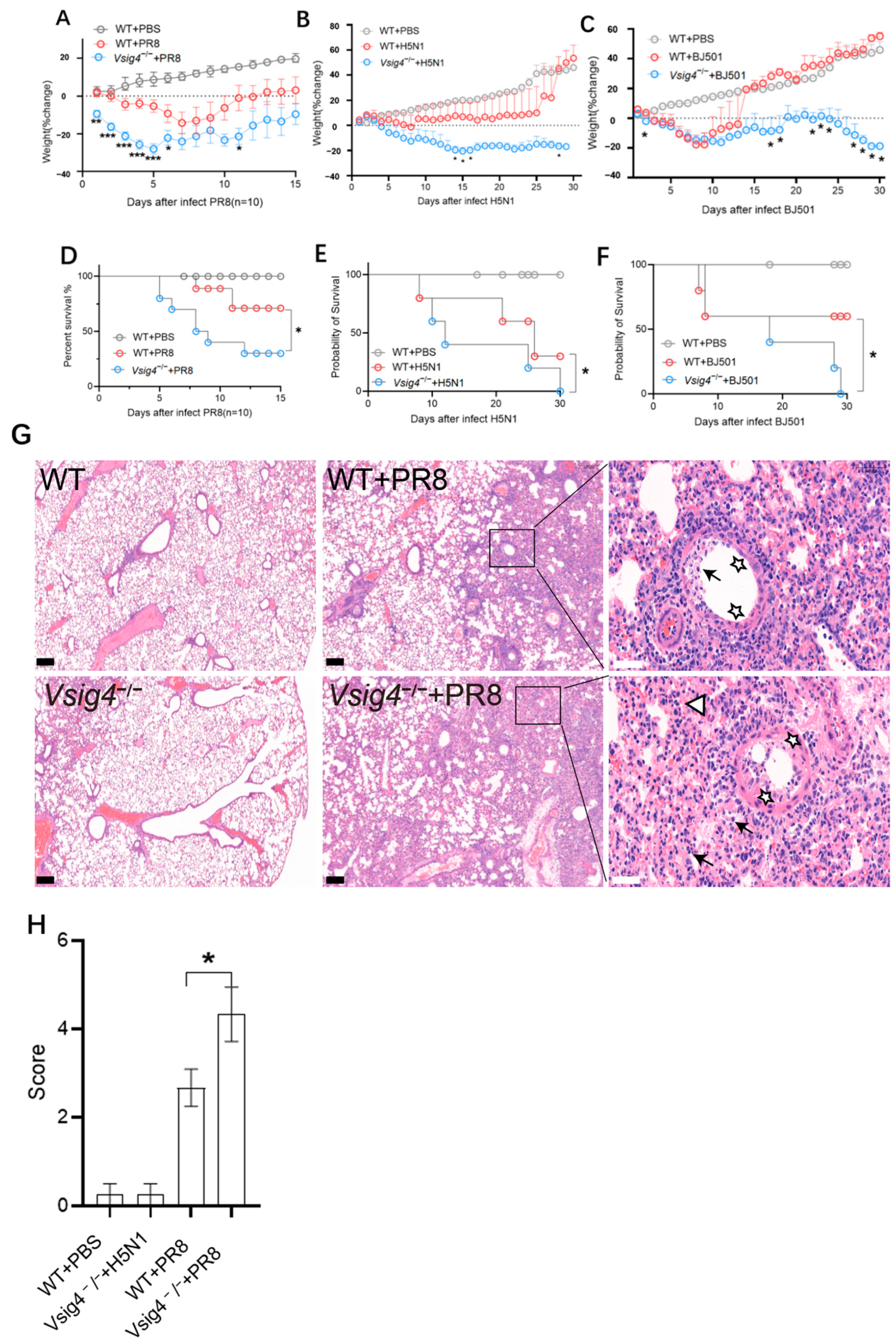 Vaccines 13 01053 g001