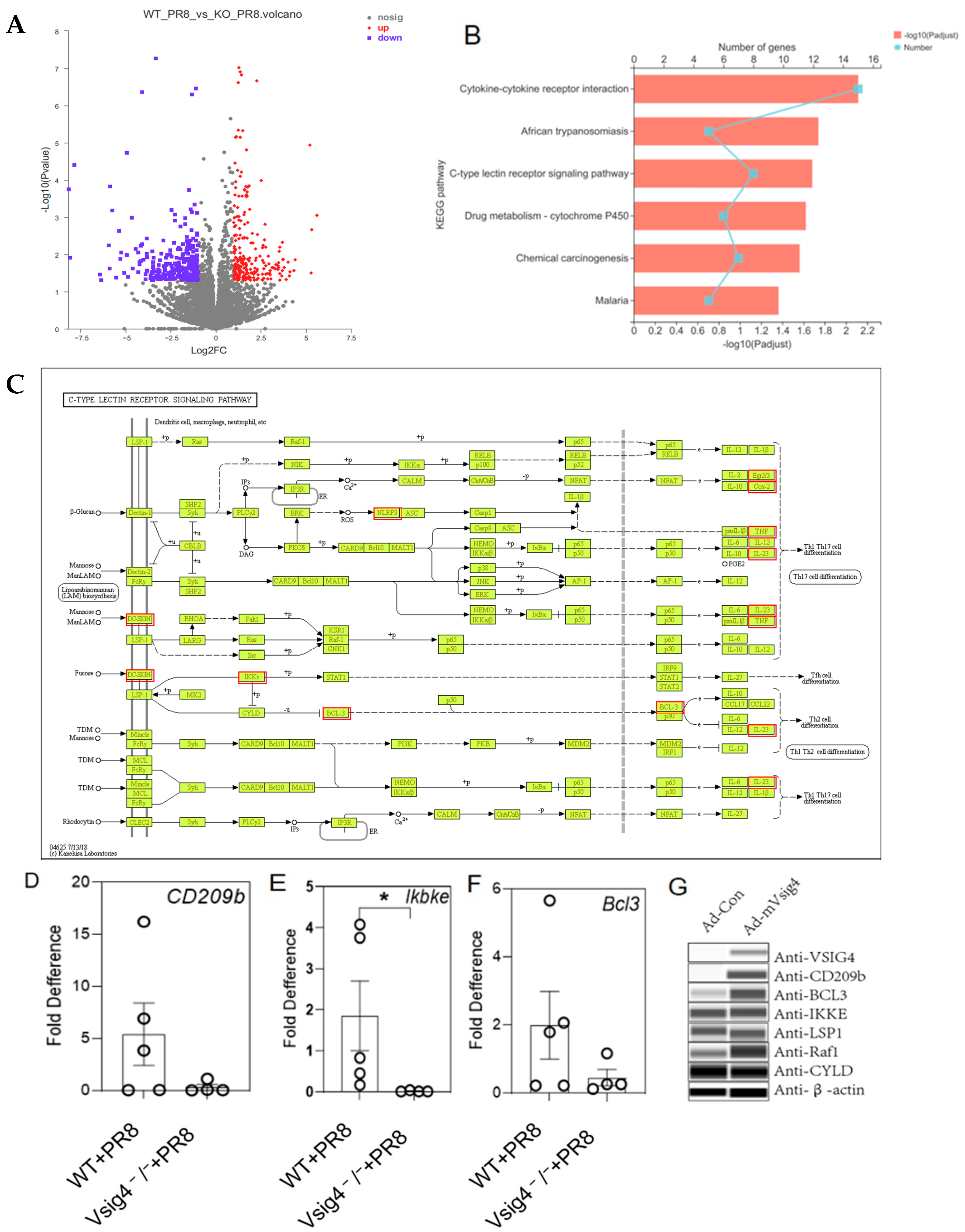 Vaccines 13 01053 g004