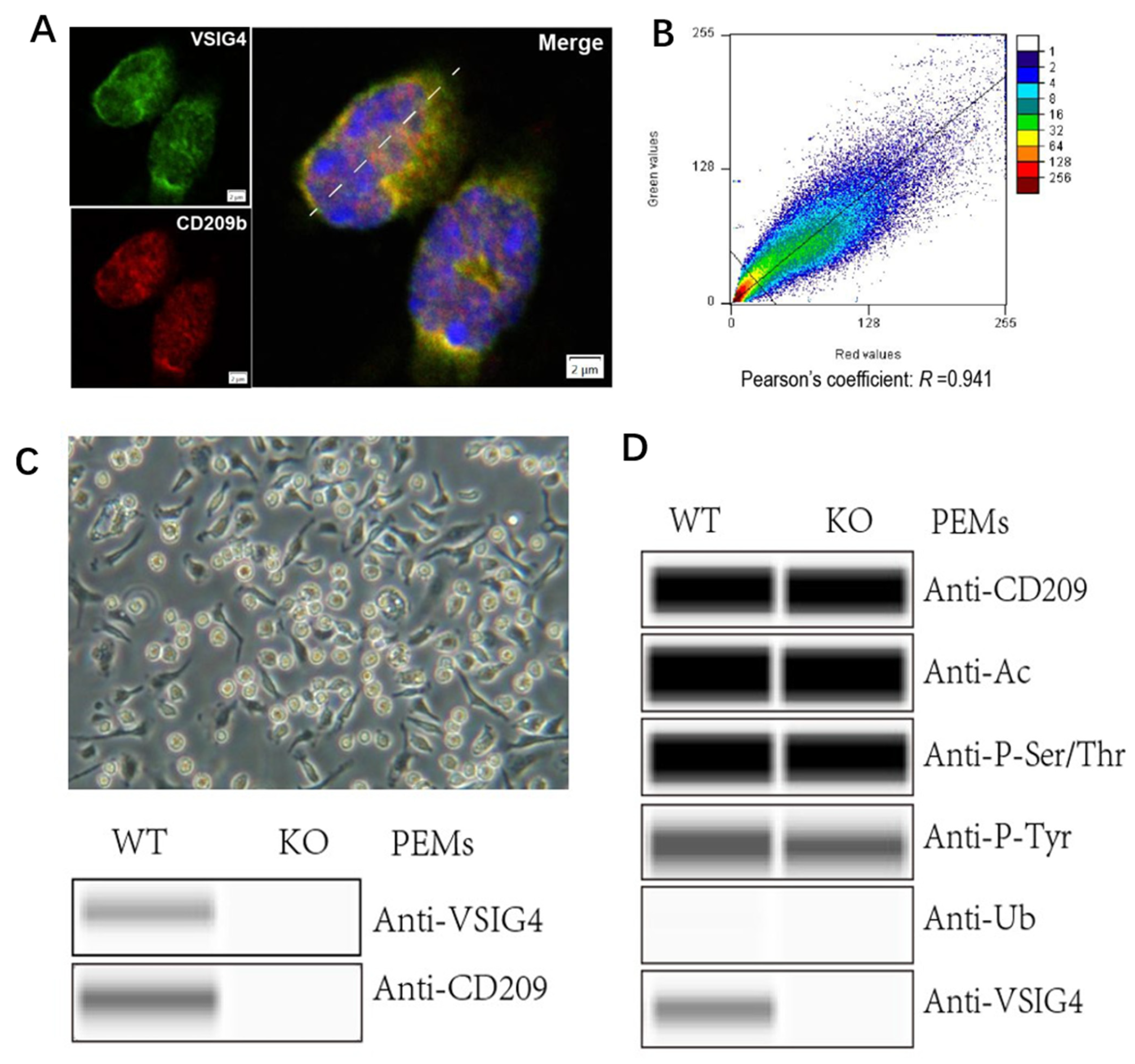 Vaccines 13 01053 g005