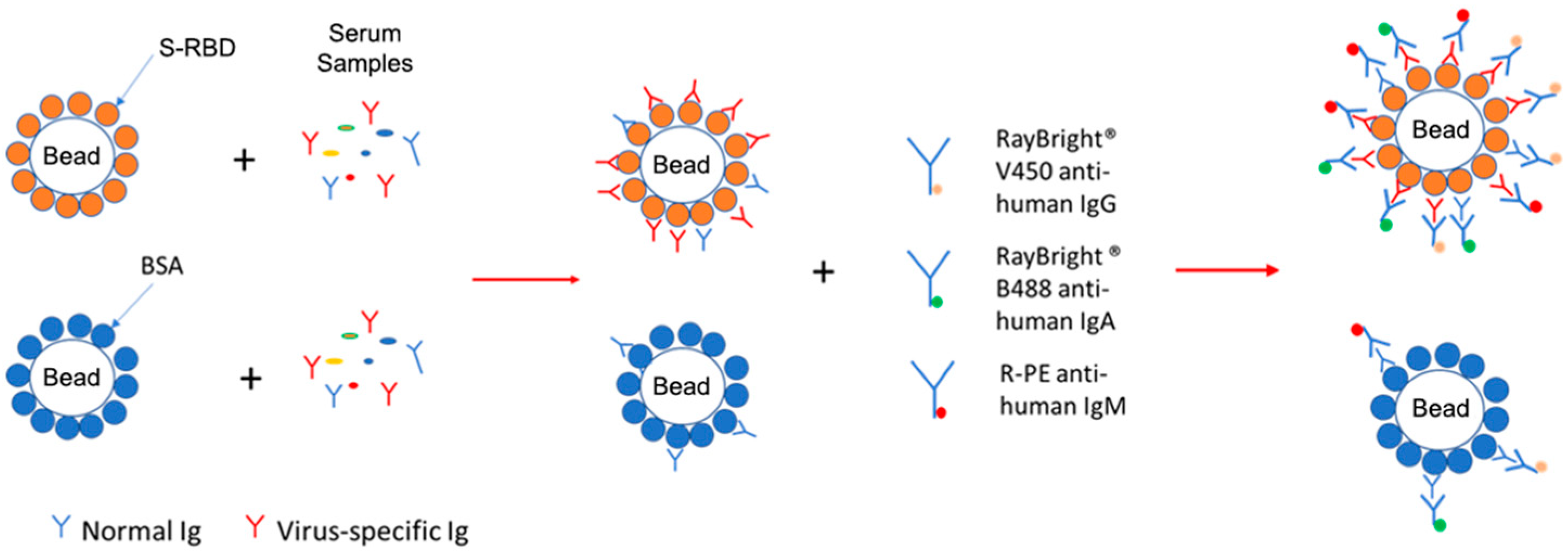 Vaccines 13 01063 g001