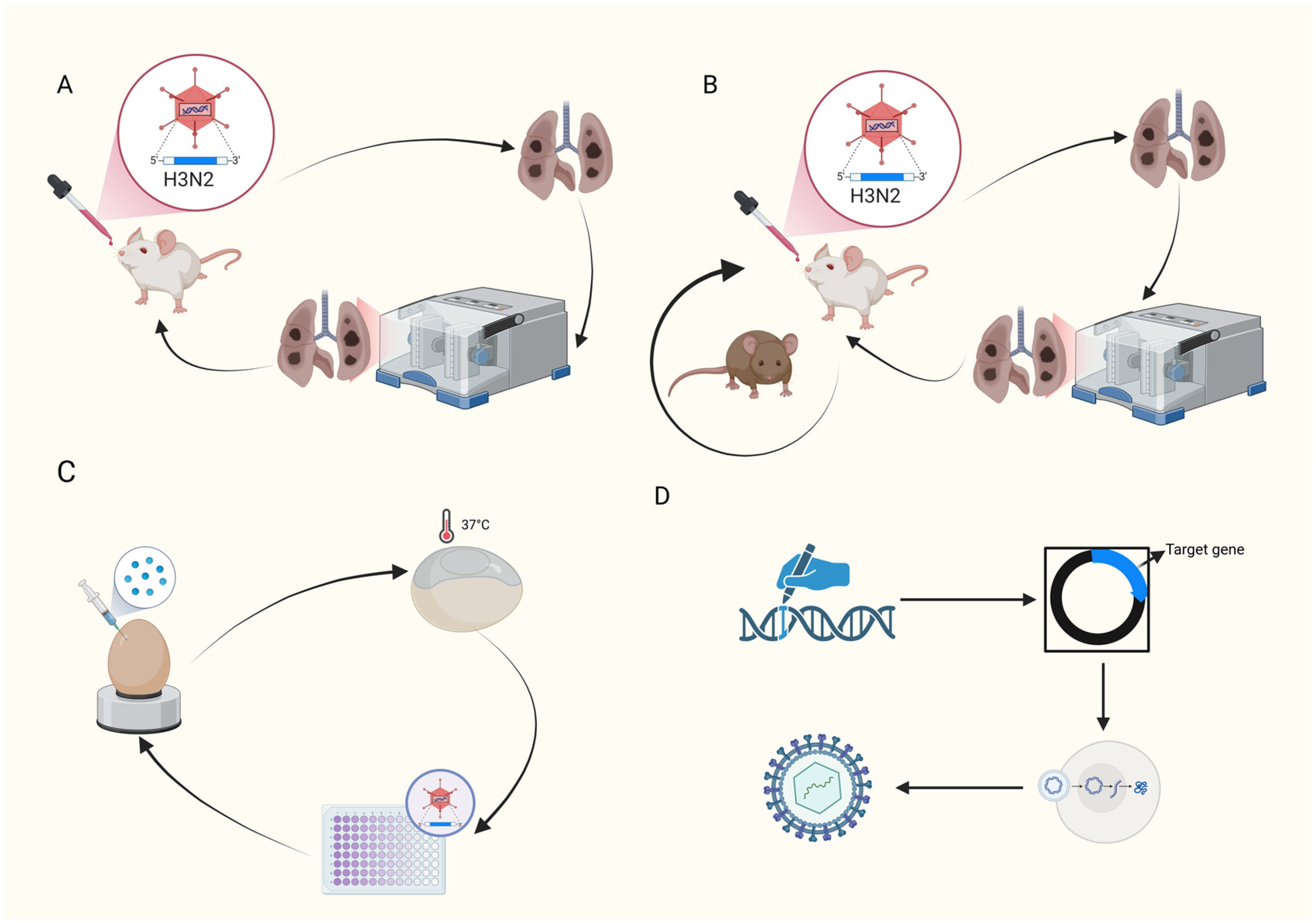 Vaccines 13 01077 g001 Vaccines 13 01077 g001