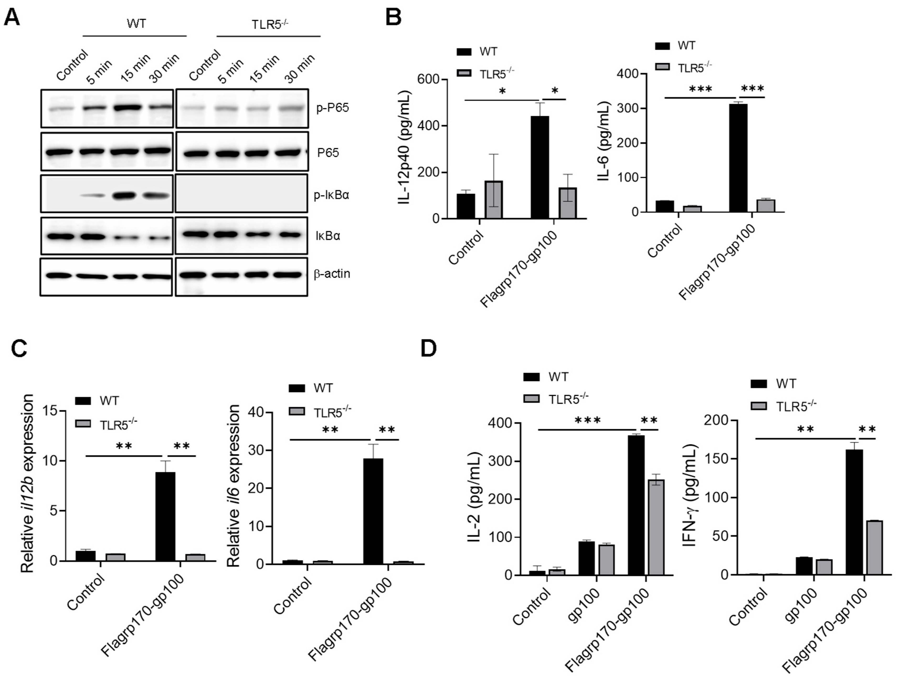 Vaccines 13 01096 g003