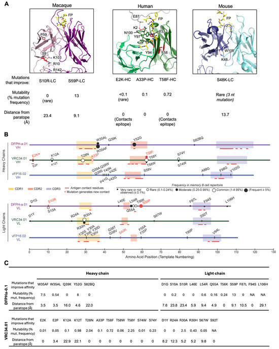 Vaccines 13 01098 g008