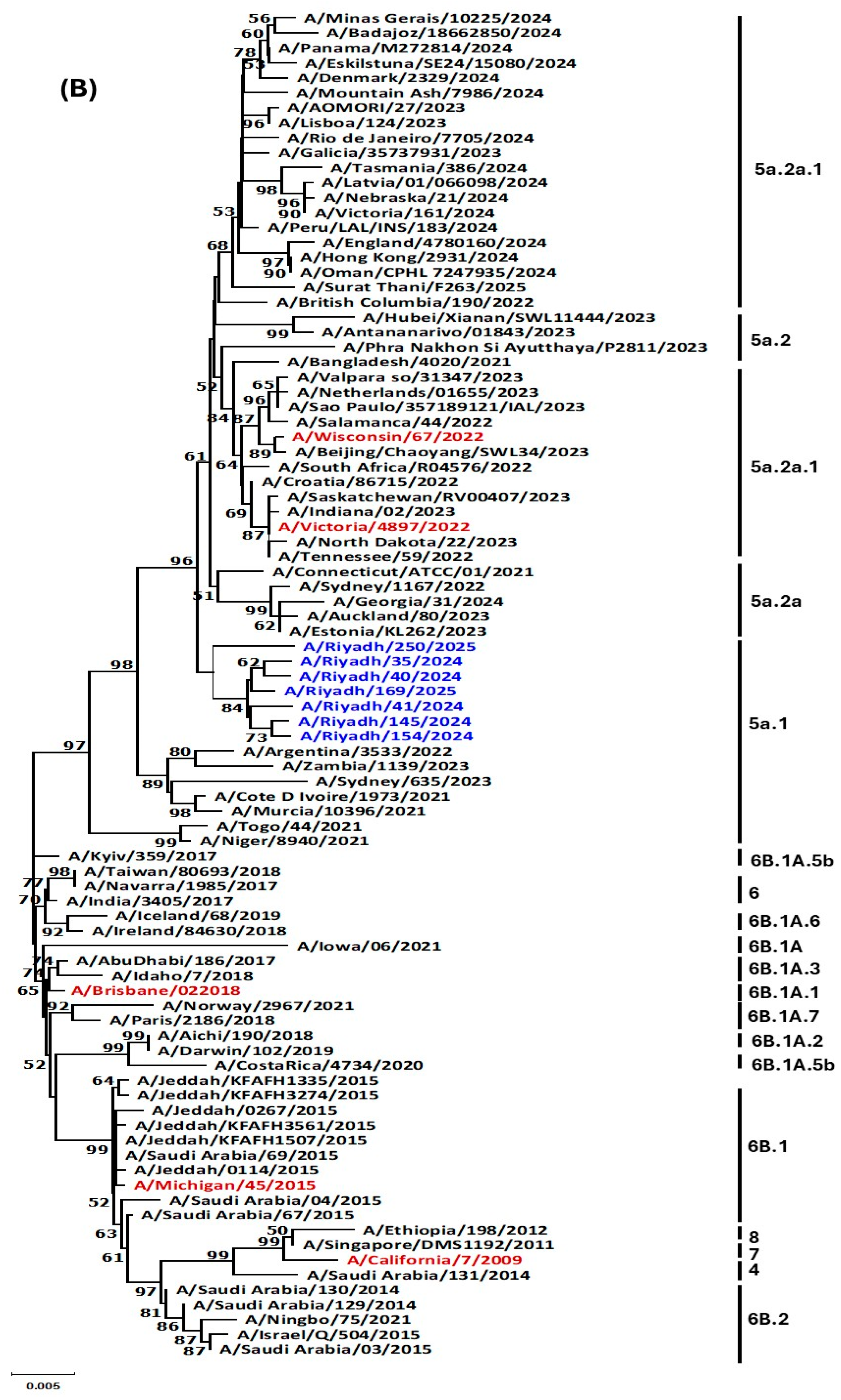 Vaccines 13 01111 g003b