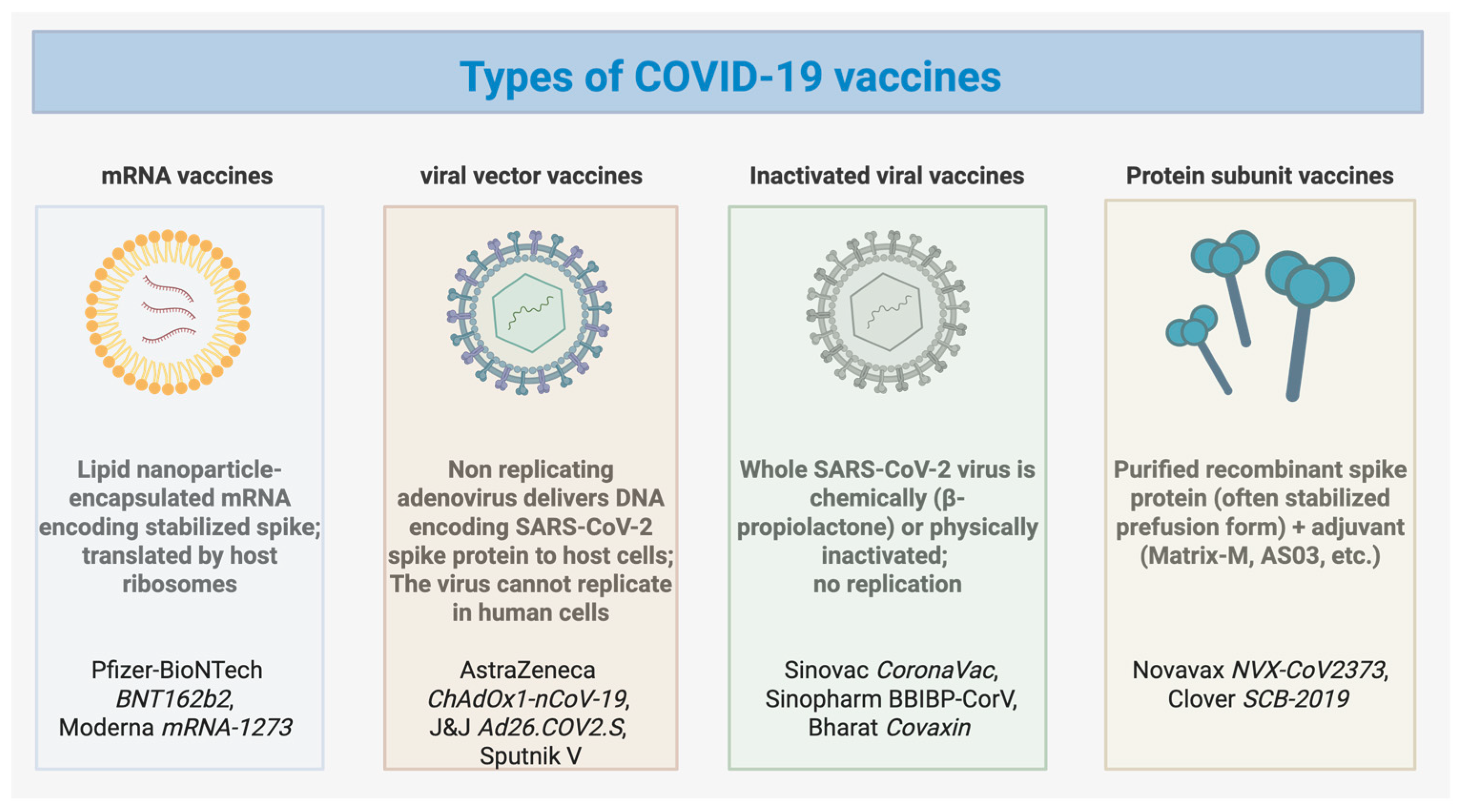 Vaccines 13 01112 g001