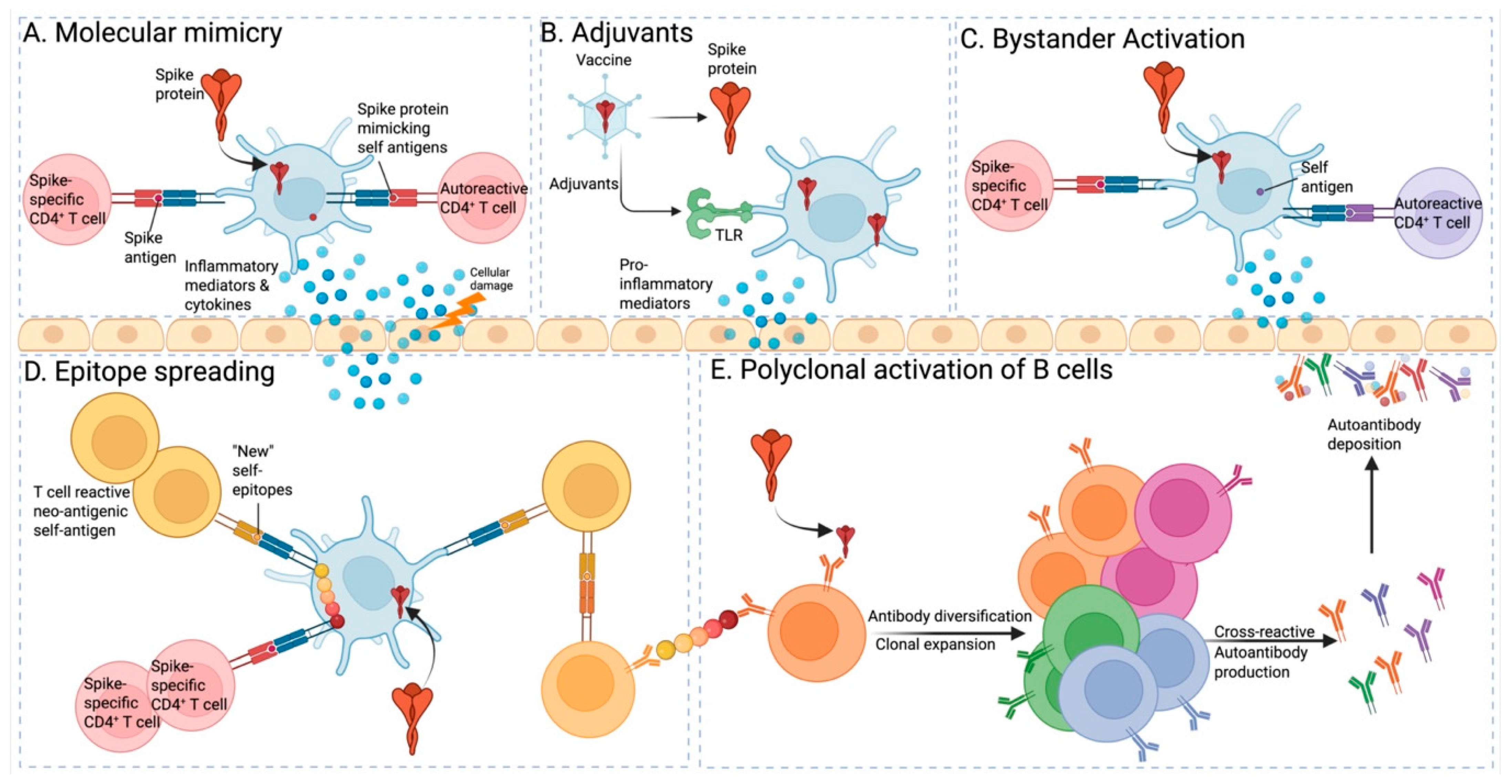 Vaccines 13 01112 g002