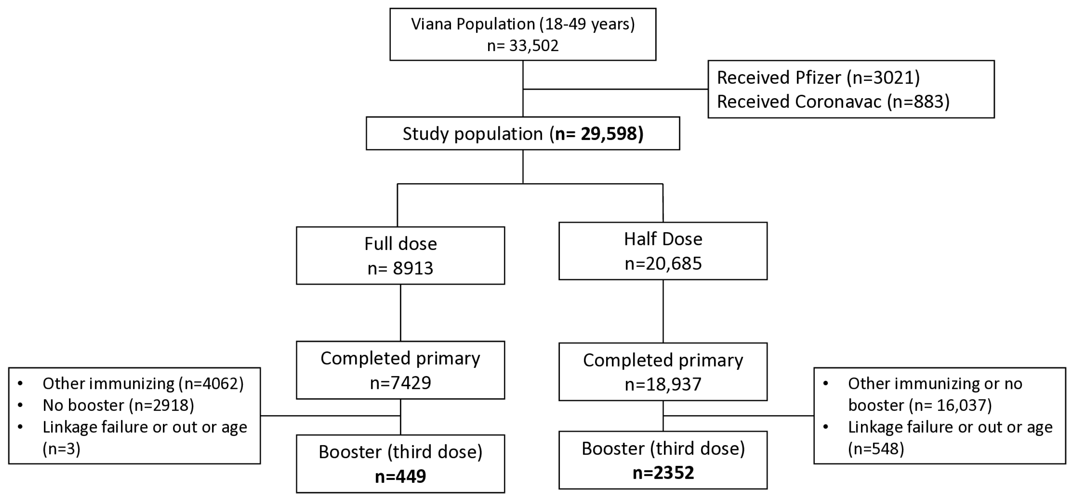 Vaccines 13 01113 g001 Vaccines 13 01113 g001