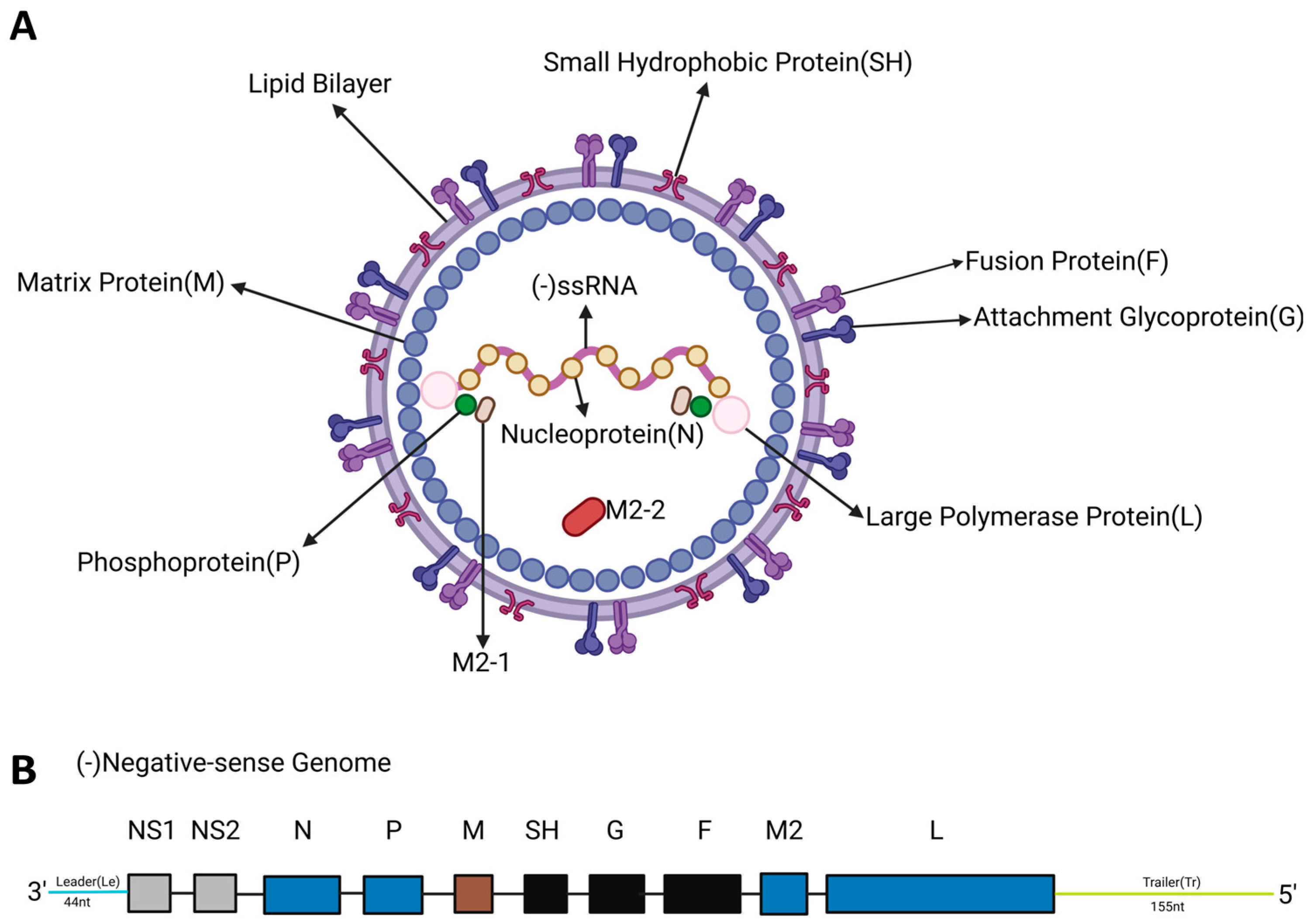 Vaccines 13 01133 g001