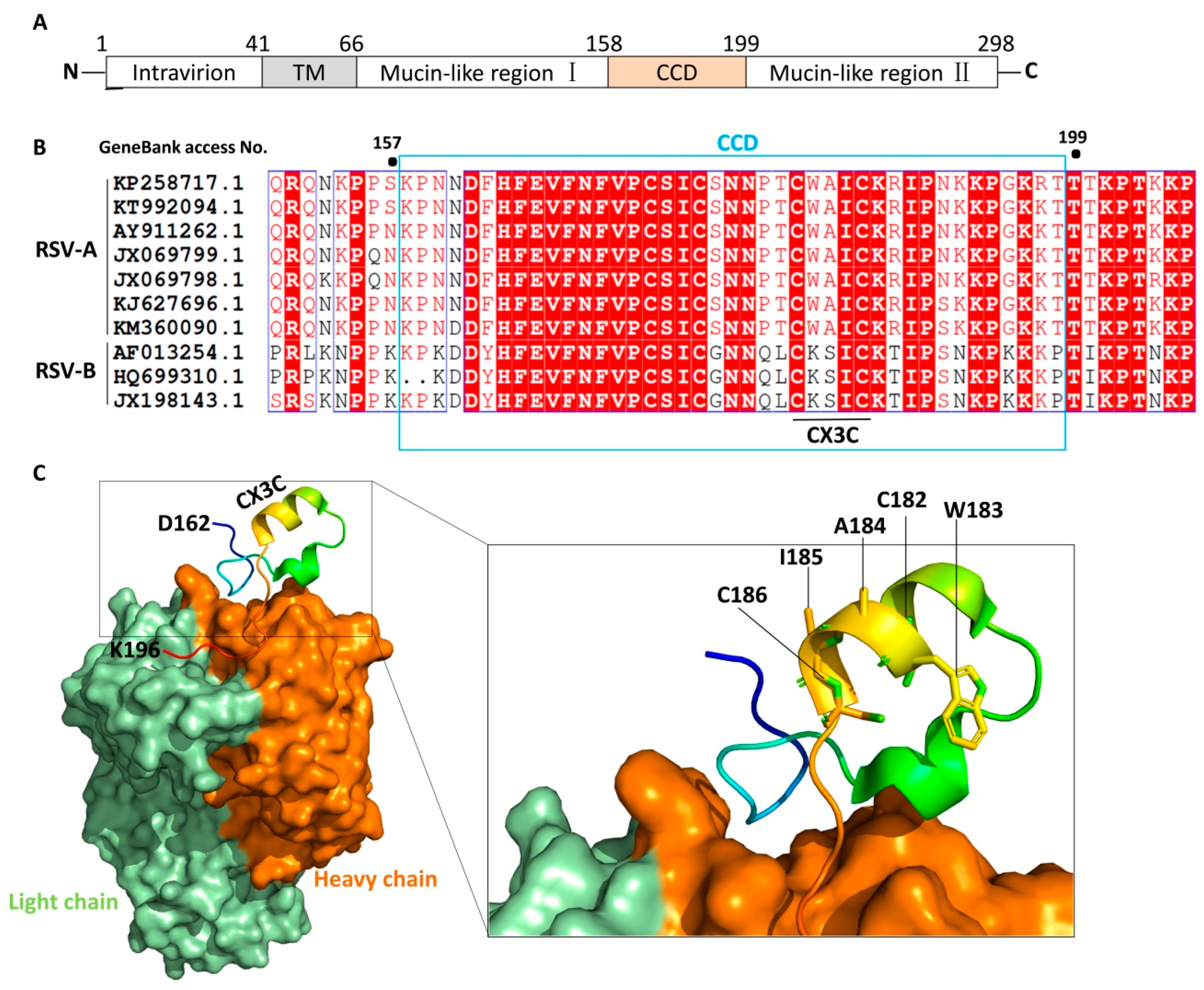 Vaccines 13 01133 g002
