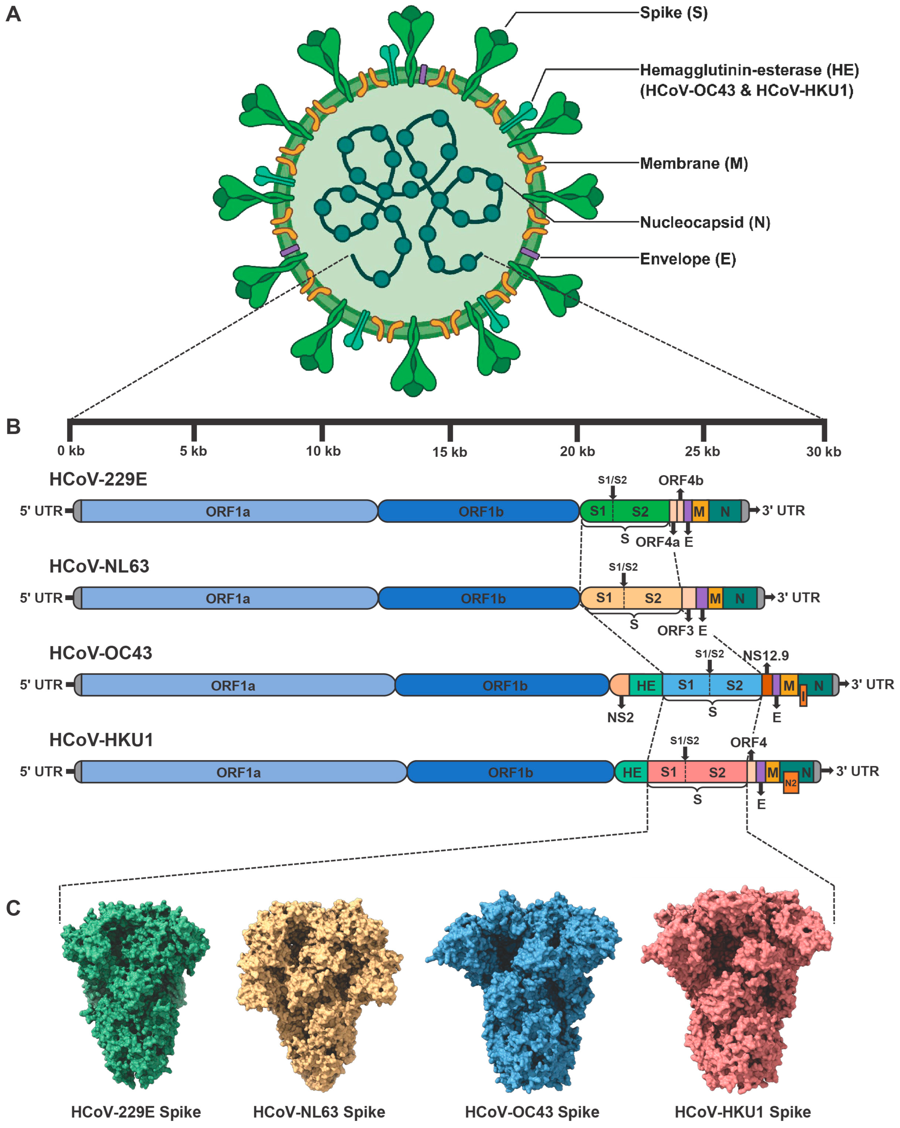 Vaccines 13 01168 g001