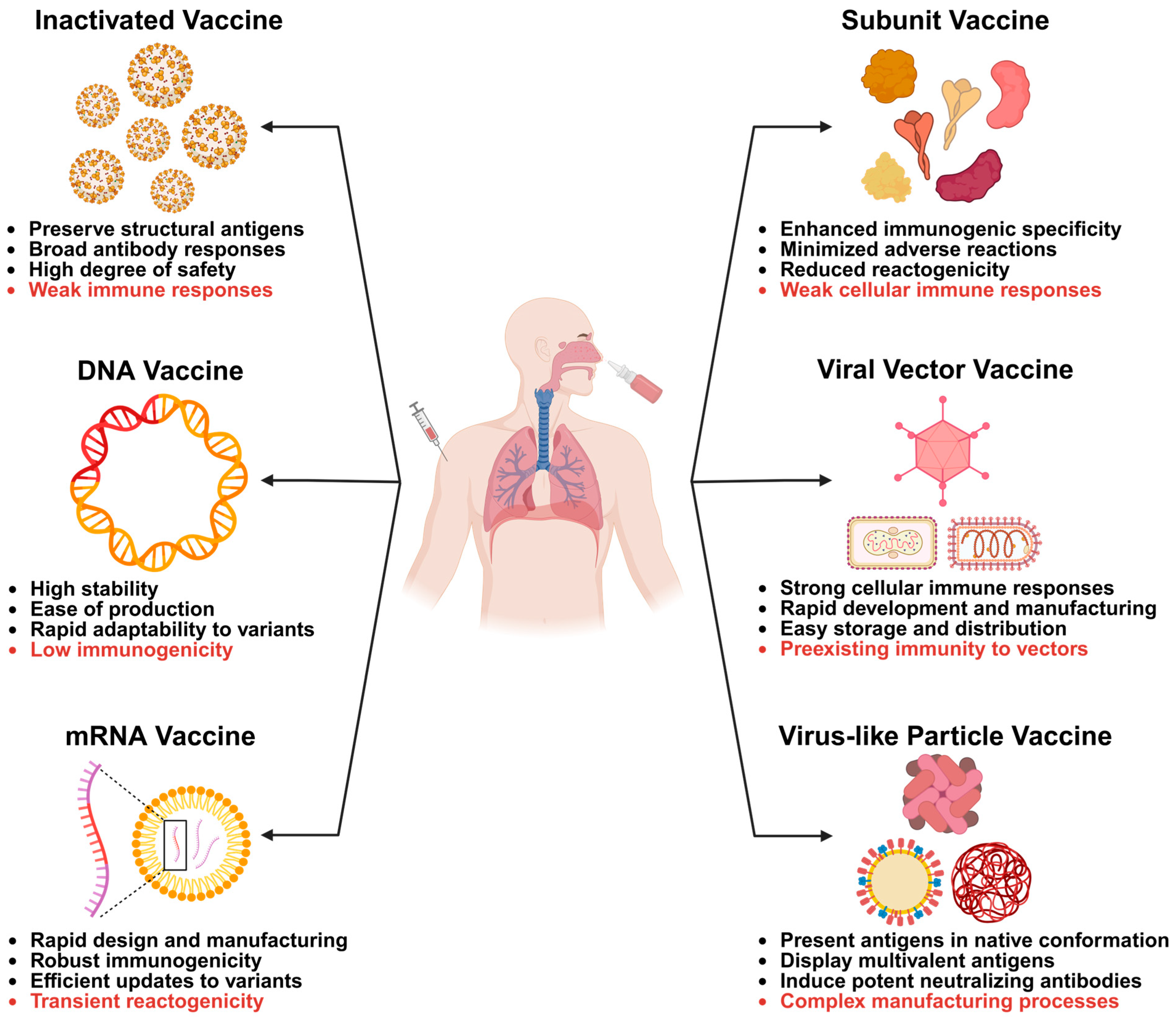 Vaccines 13 01168 g002