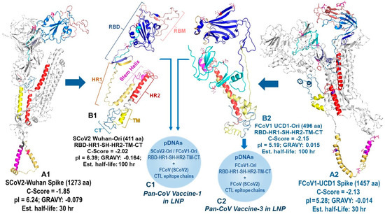 Vaccines 13 01172 g002