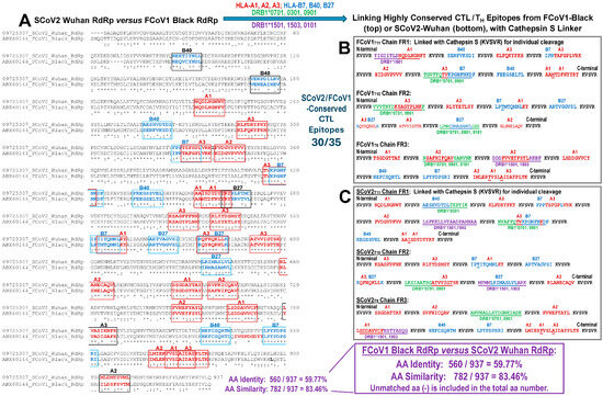 Vaccines 13 01172 g004