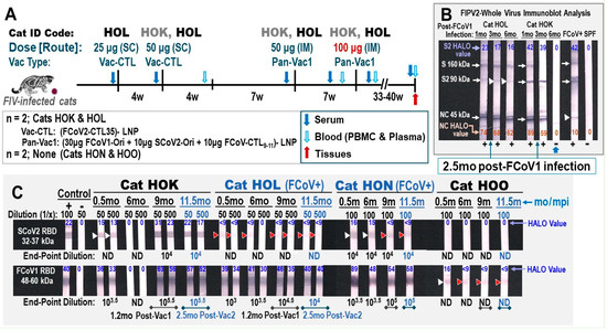 Vaccines 13 01172 g006
