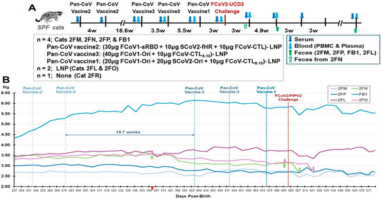 Vaccines 13 01172 g009