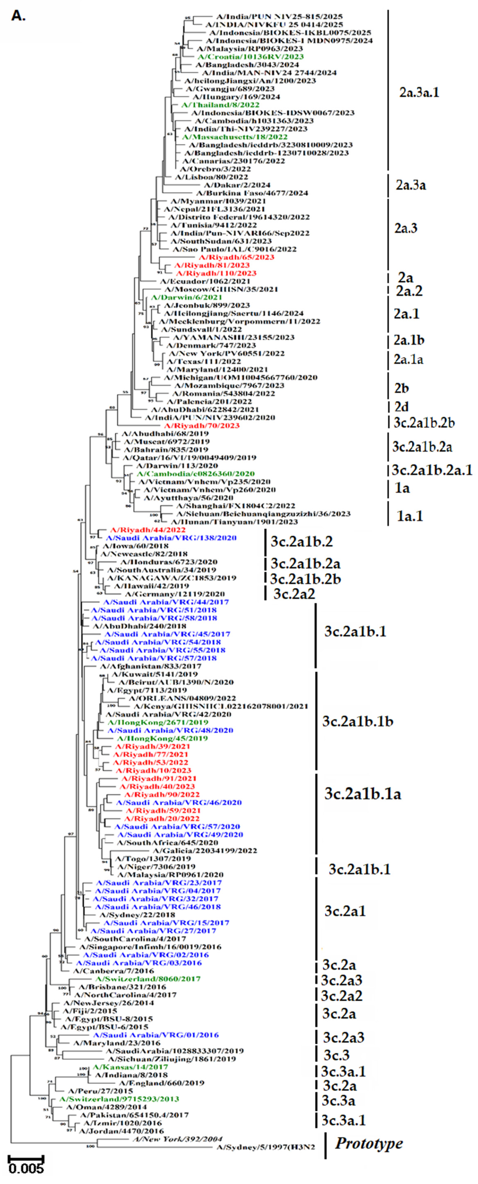 Vaccines 13 01184 g004a Vaccines 13 01184 g004a
