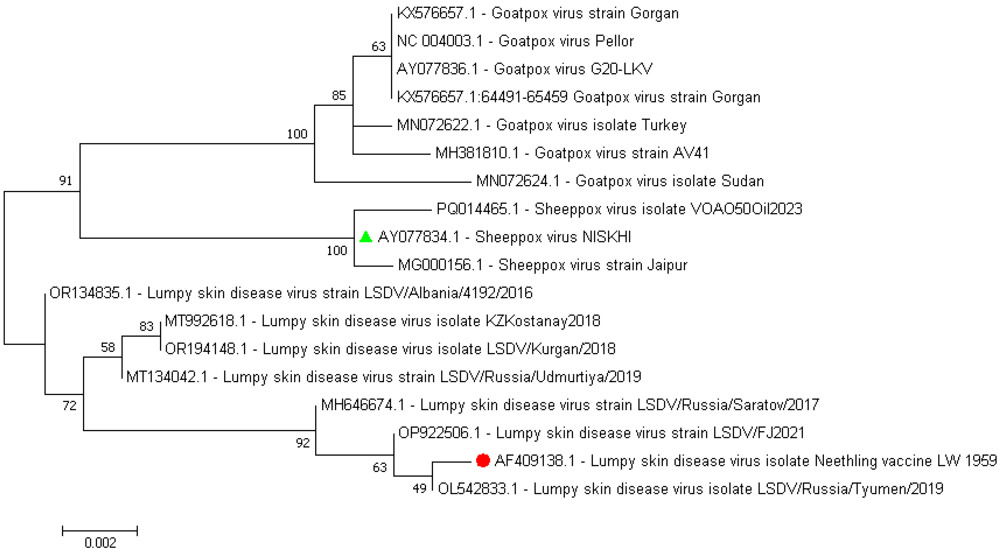 Vaccines 13 01221 g005 Vaccines 13 01221 g005