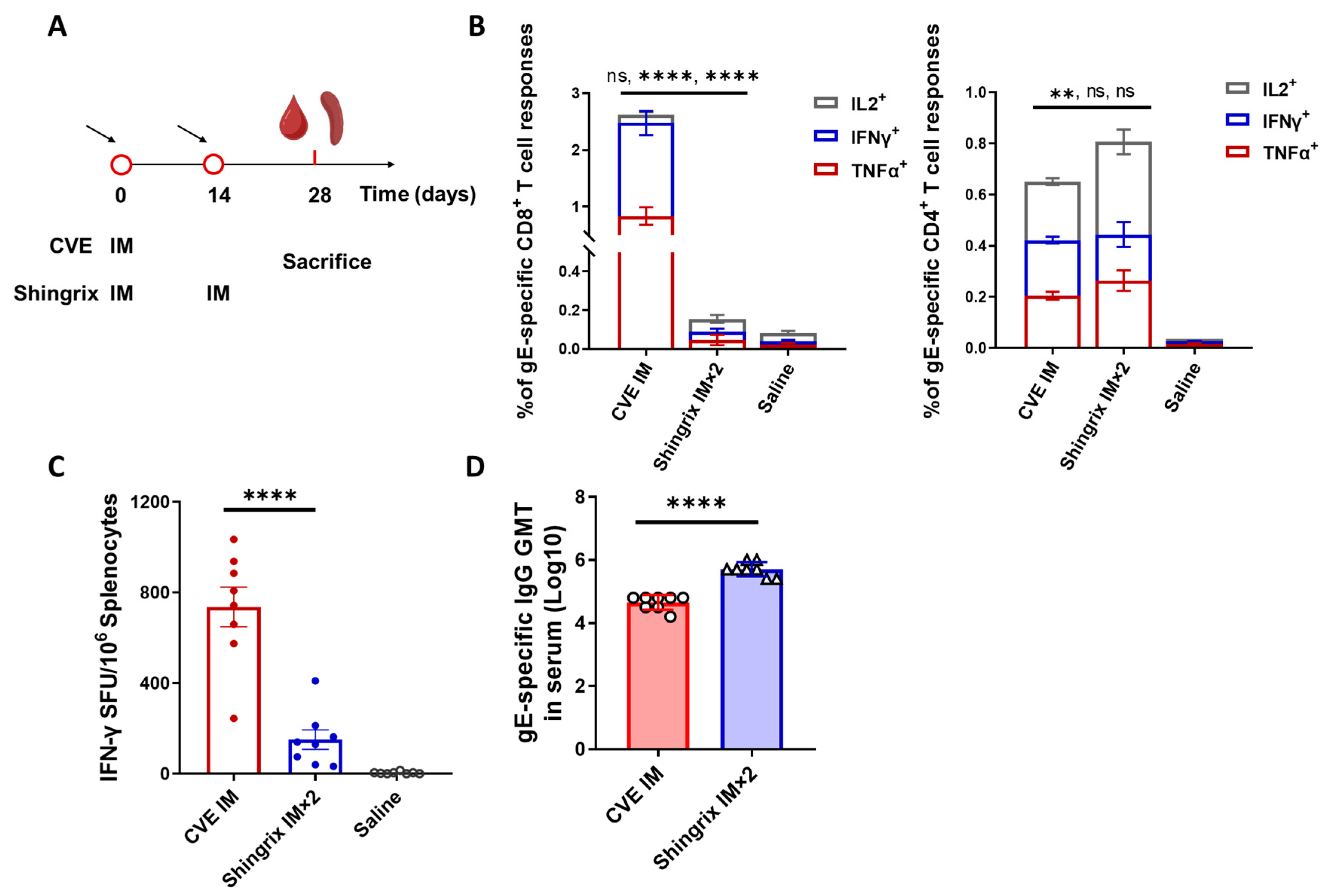 Vaccines 13 01226 g002