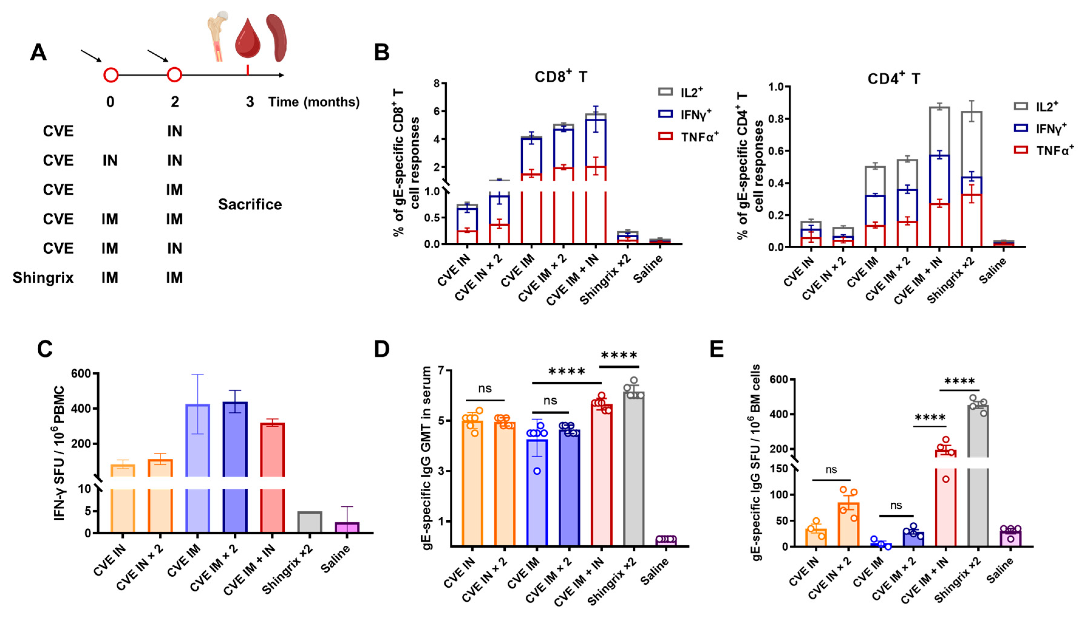 Vaccines 13 01226 g003