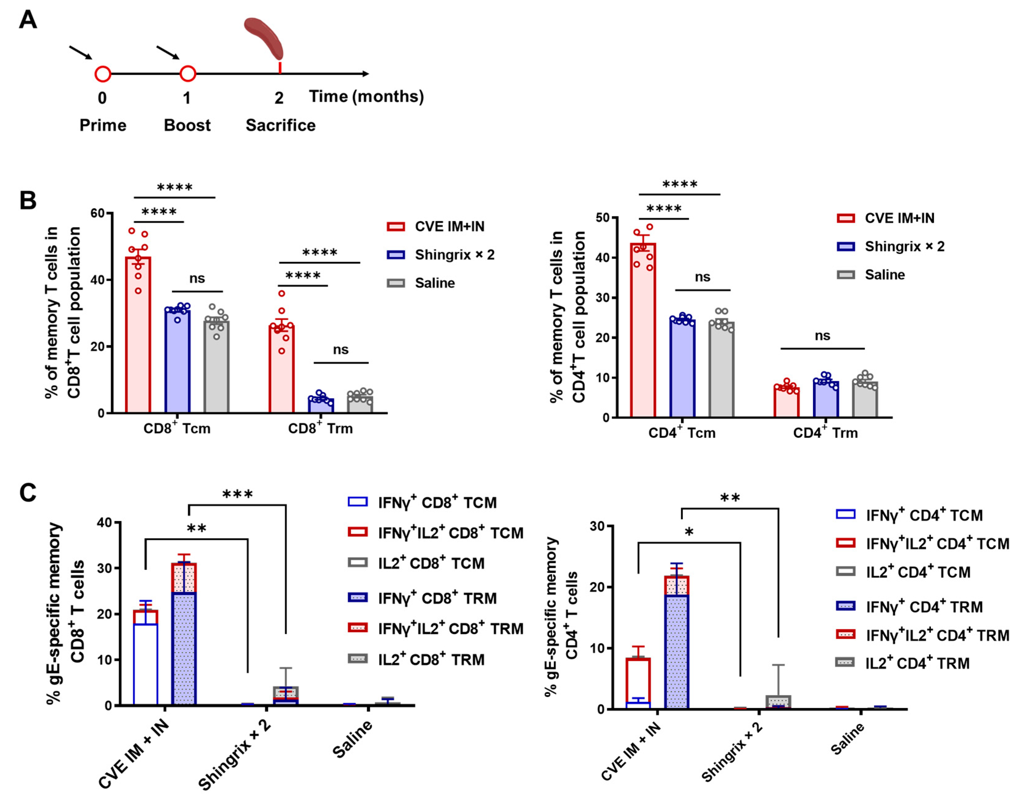 Vaccines 13 01226 g004